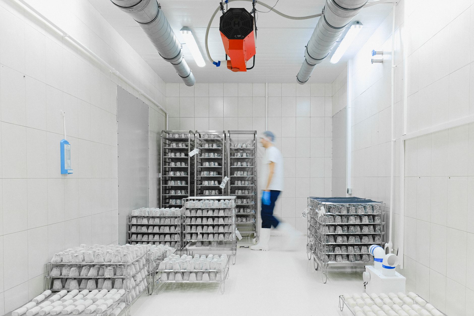 Clean, organized shelves in a temperature-controlled warehouse, representing where raw ingredients are precisely and hygienically stored before transport.