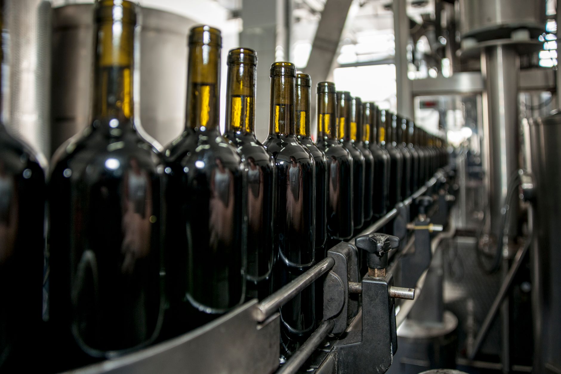 A high-speed bottling plant conveyor belt moves hundreds of clear bottles through the production line.