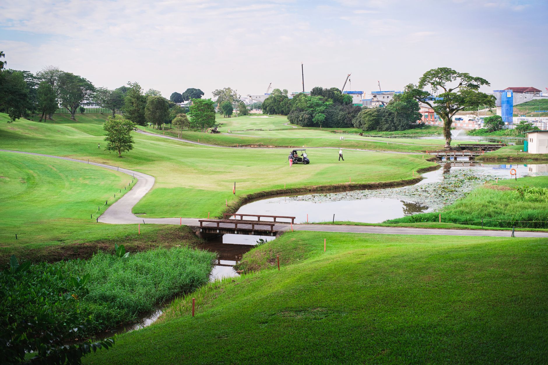 Wooden cart bridge over a creek on a golf property.