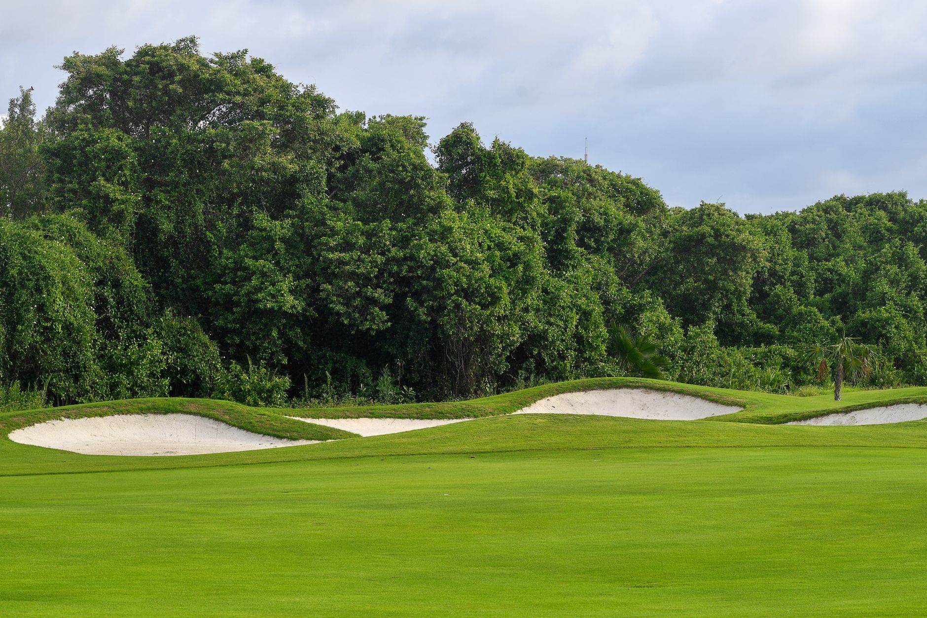 A fairway curving alongside a bunker lip