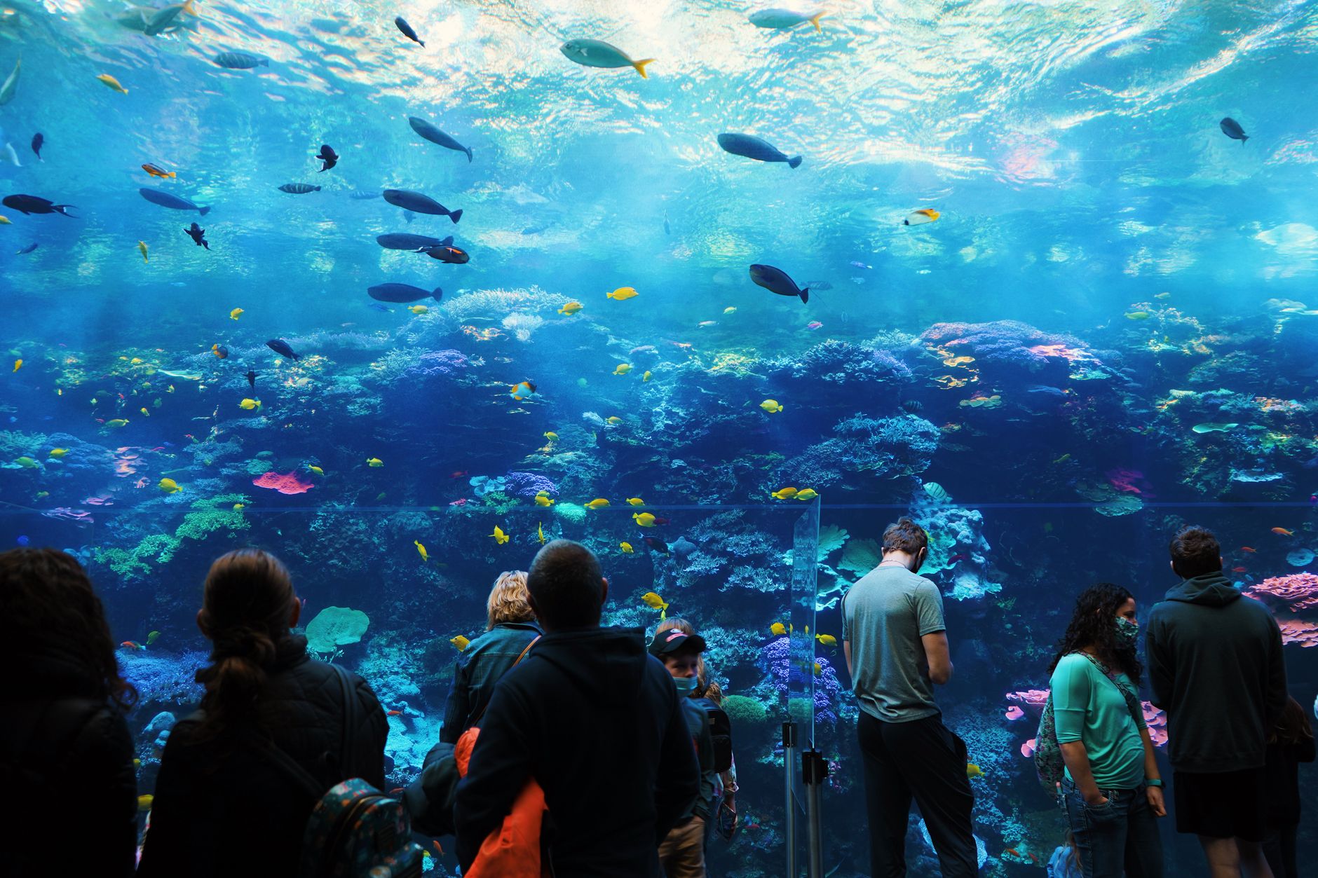 Busy public attraction interior with dense visitor traffic, reflecting the peak-day conditions buyers should plan around.