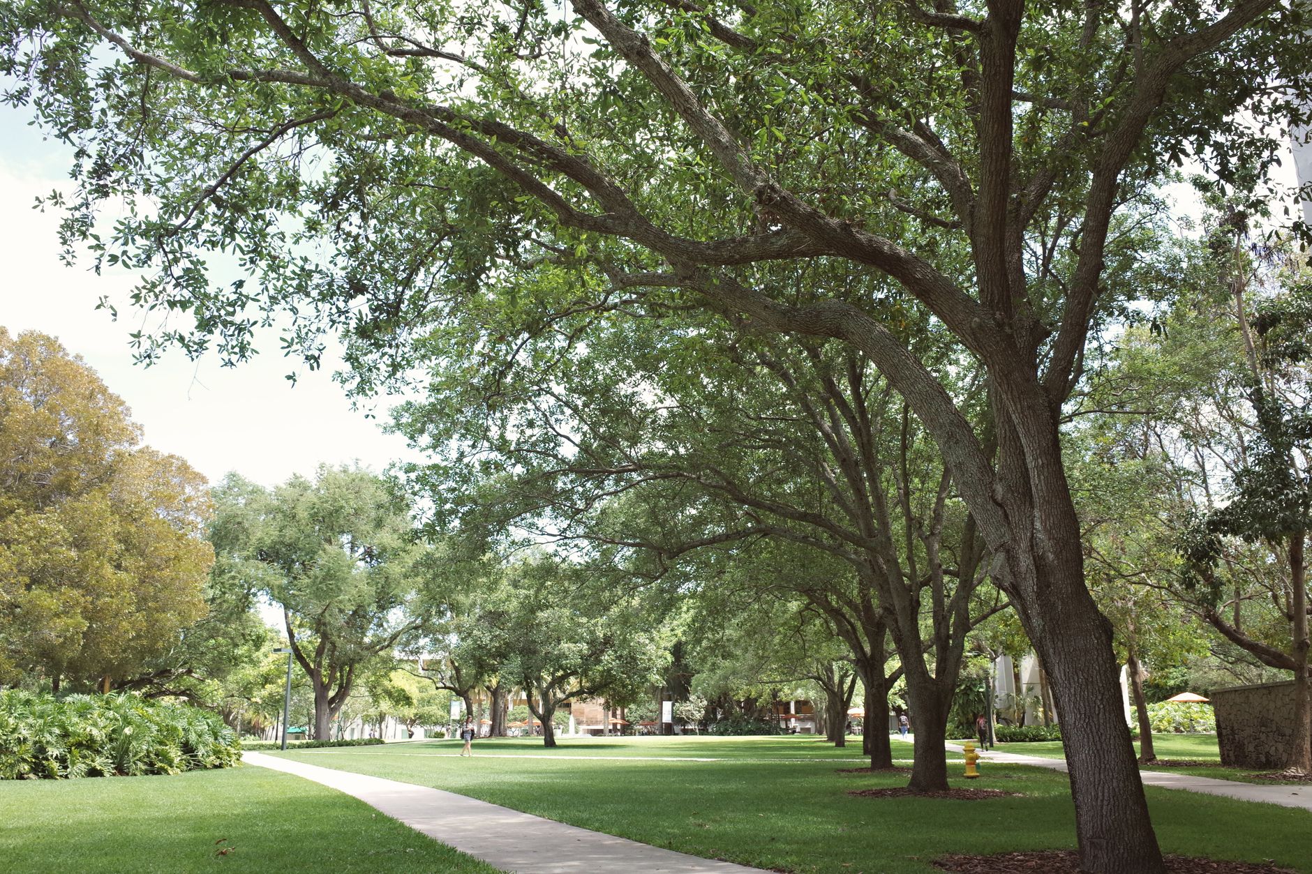 Students walk through a busy campus quad between classes, underscoring how delivery service disruptions hit daily campus life.