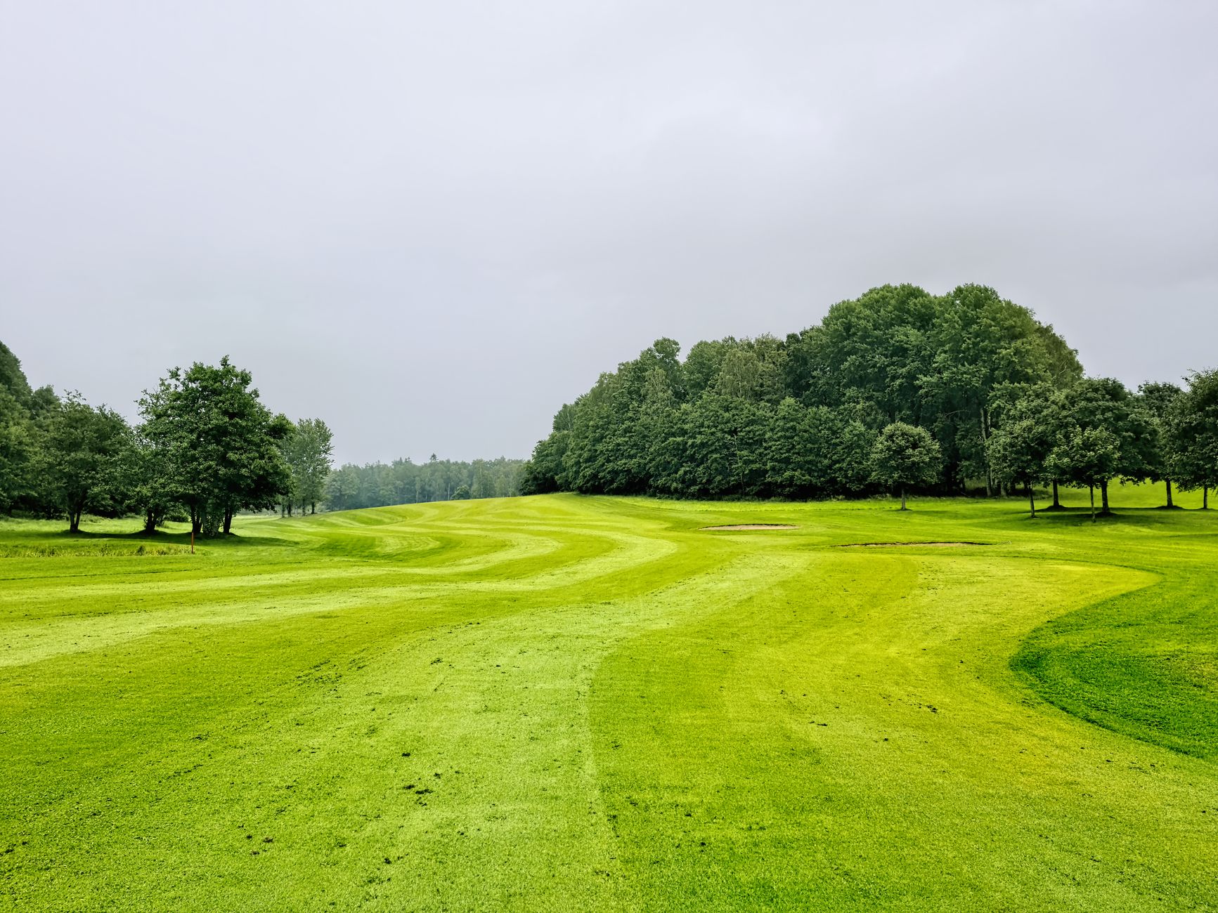 Damp fairway conditions that often trigger cart-path-only policies.