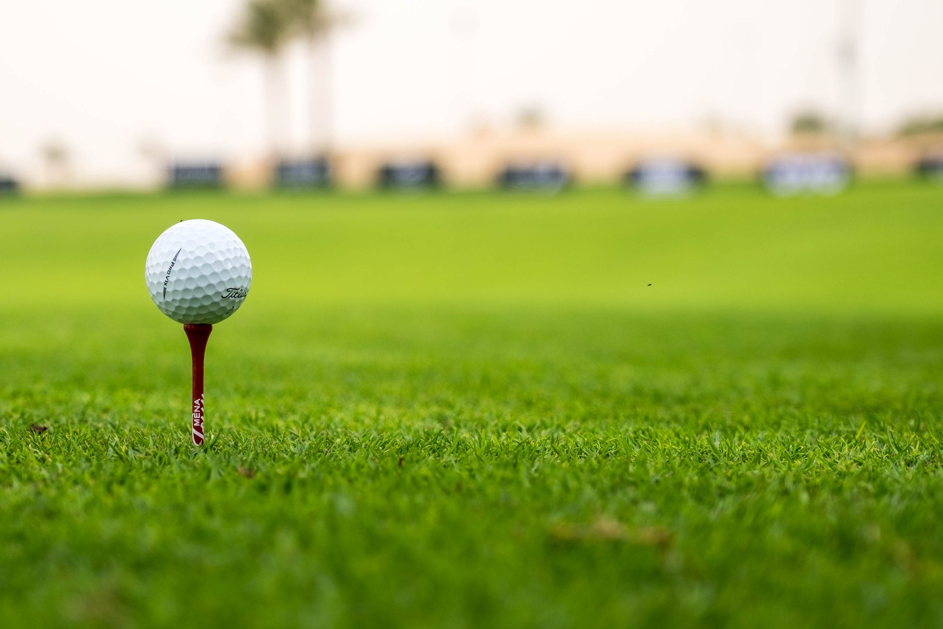 Golfers gathering at a first tee with cart paths nearby