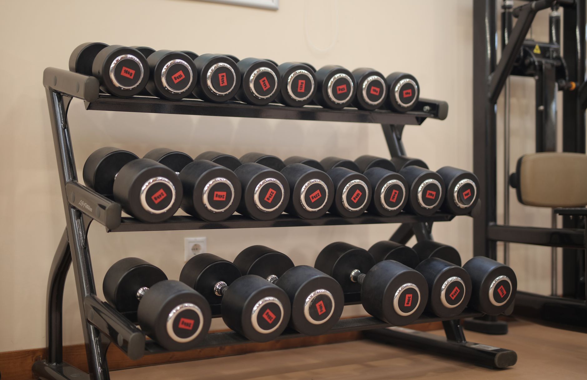A row of dumbbells and free weights on racks, representing a high-traffic area in a gym that requires constant cleaning.