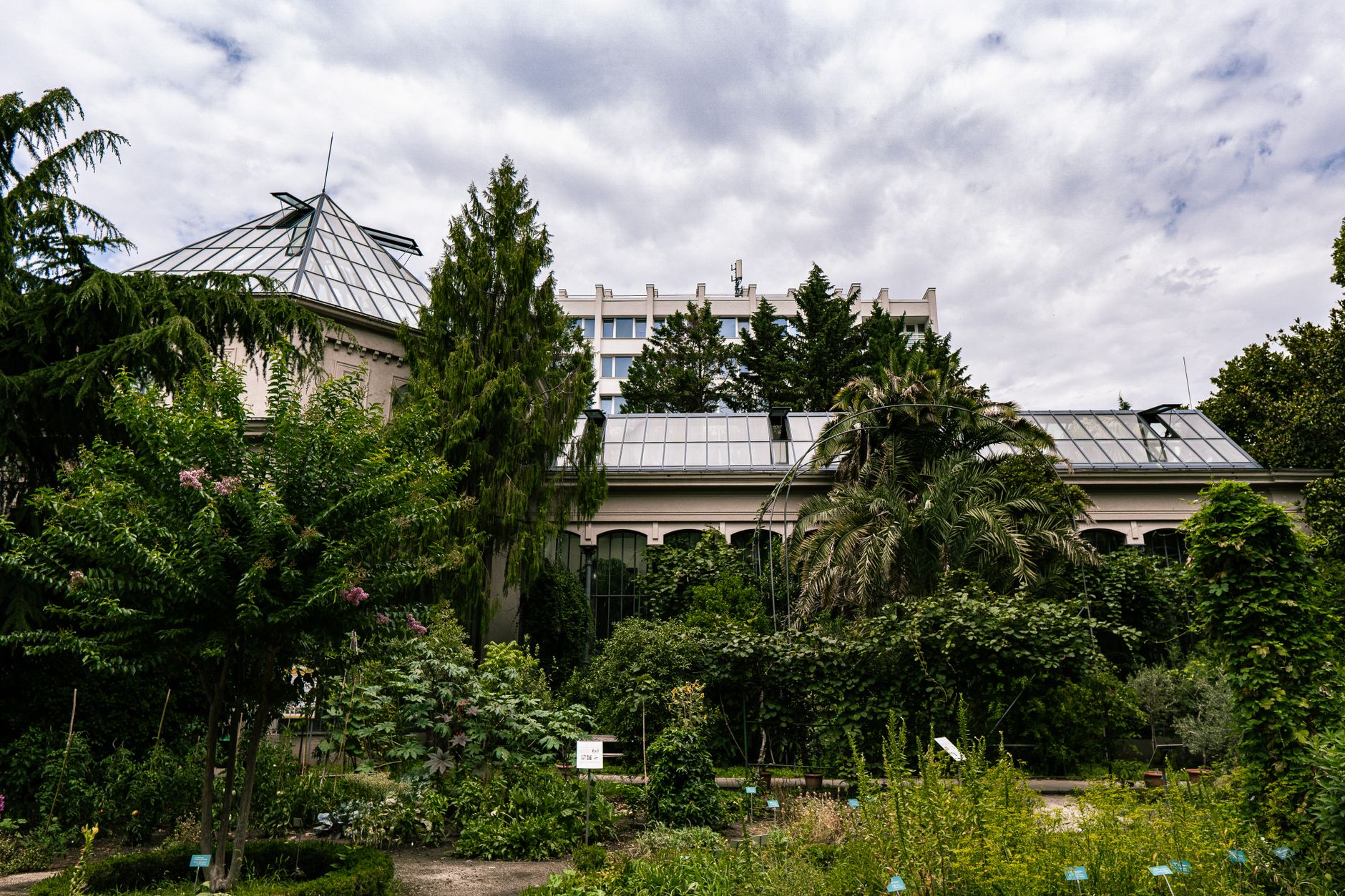 Botanical garden conservatory entrance where visitors track soil onto indoor floors.