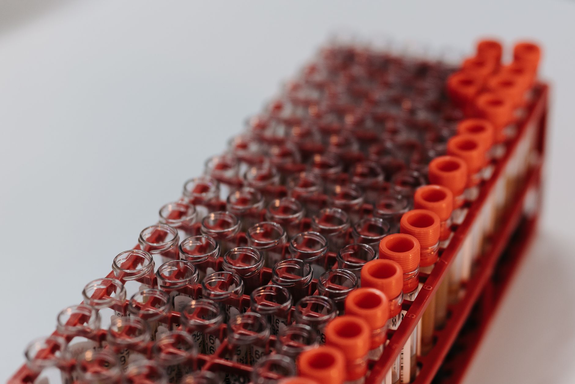 A rack of tubes seated in dividers similar to accession nests that prevent rolling during pick.