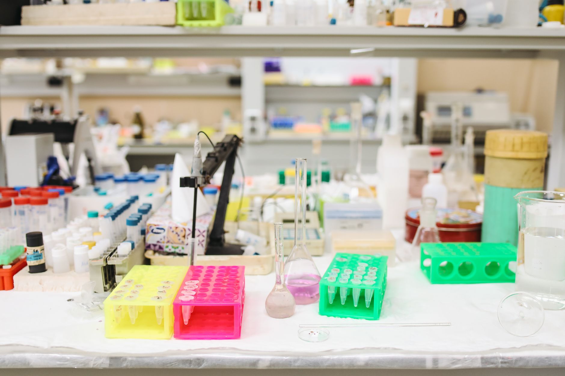 A clinical laboratory bench where specimen tubes and racks are prepared before analyzer loading.