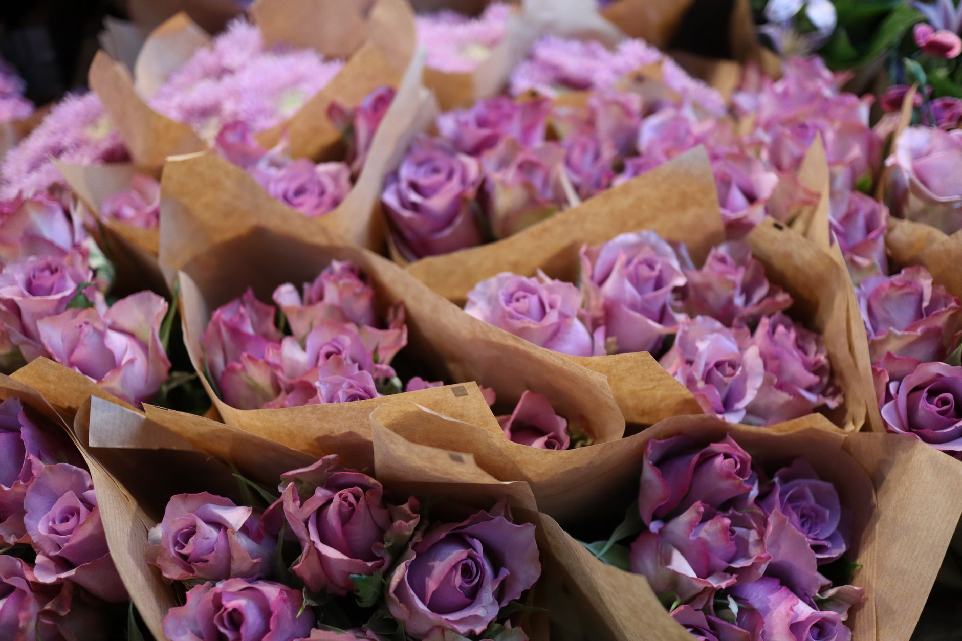 Fresh-cut flower bouquets ready for sleeving and case packing on a production line.
