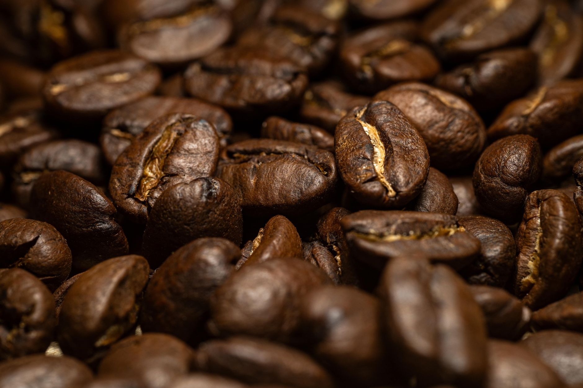 Close-up of dark roasted coffee beans with scattered chaff on a surface.