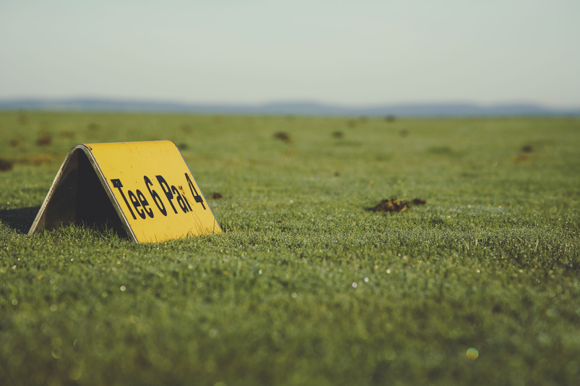 Empty first tee area before players arrive on a dewy morning
