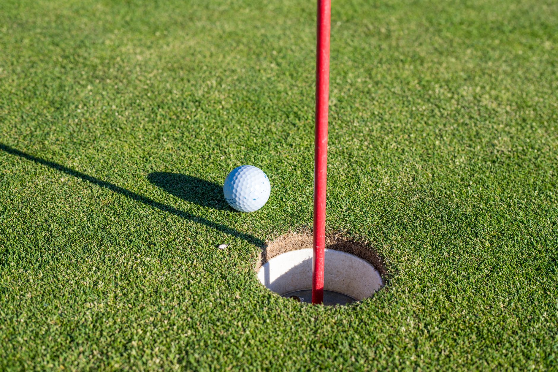 Close view of a manicured putting green beside a sand bunker.