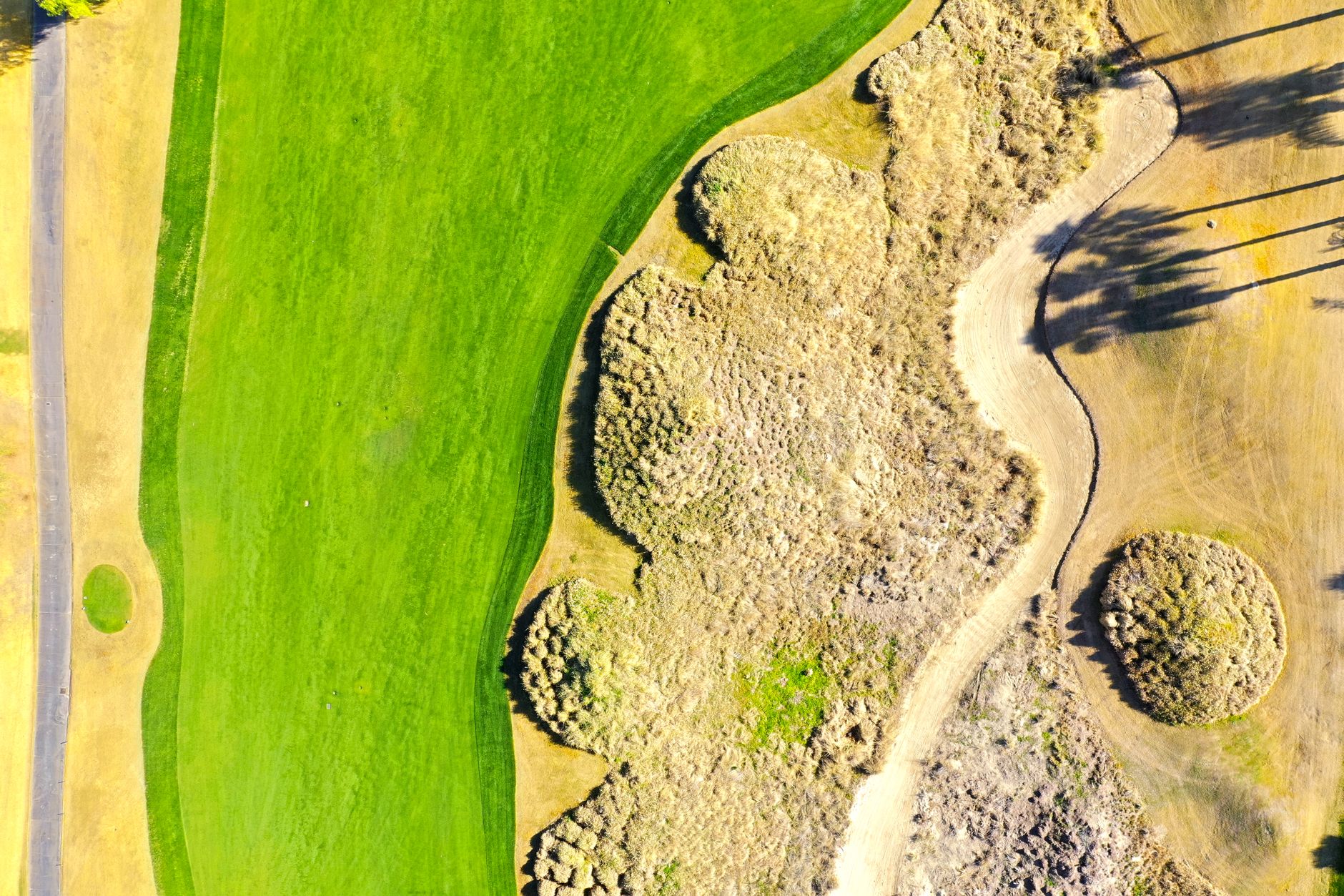 Wide fairway turf on a golf course with tree lines in soft morning light