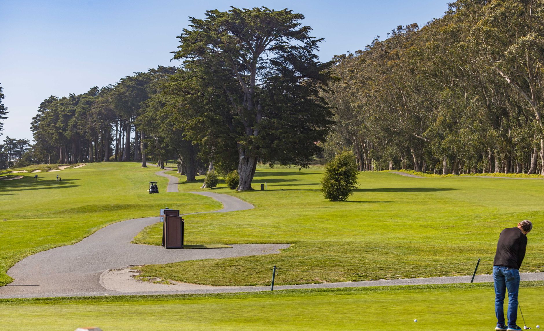 Golf fairway grass meeting a paved cart path on a sunny morning.
