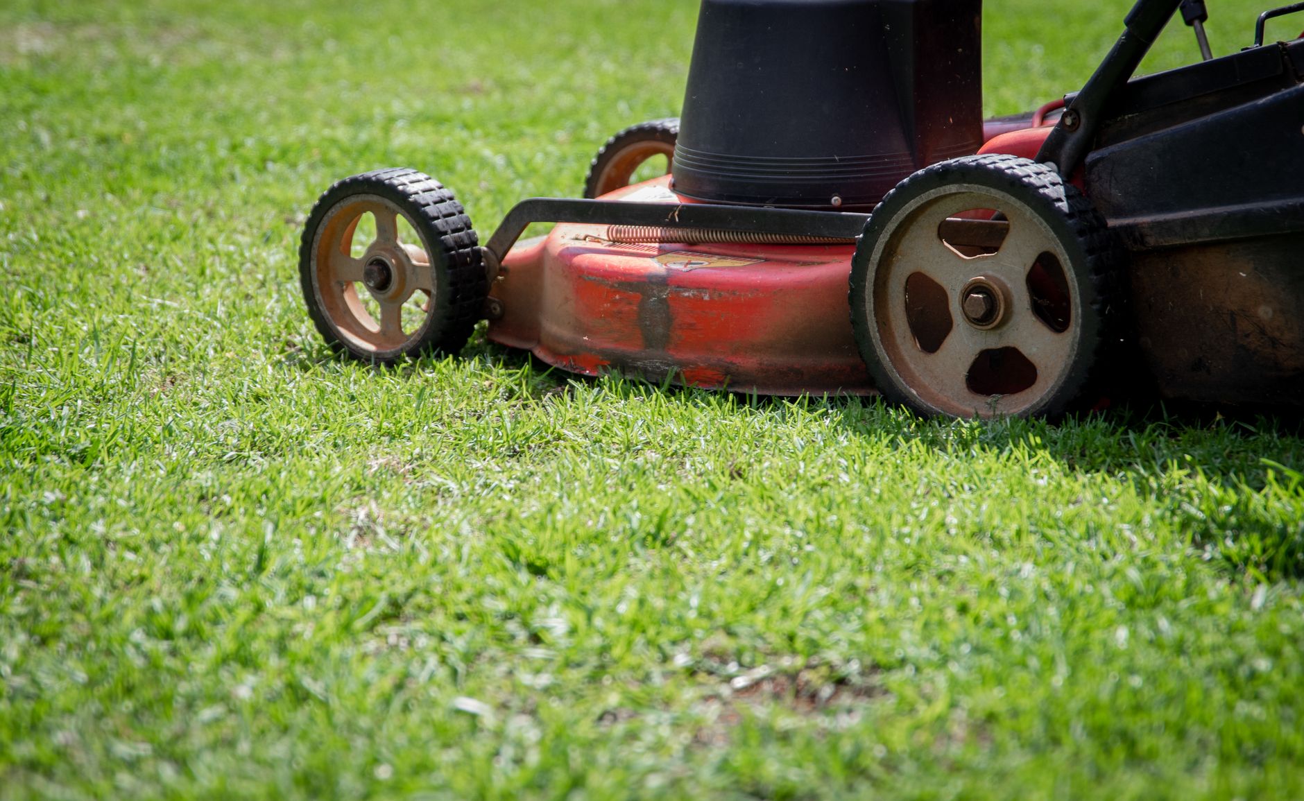 Close view of mower reel and brush housing being serviced