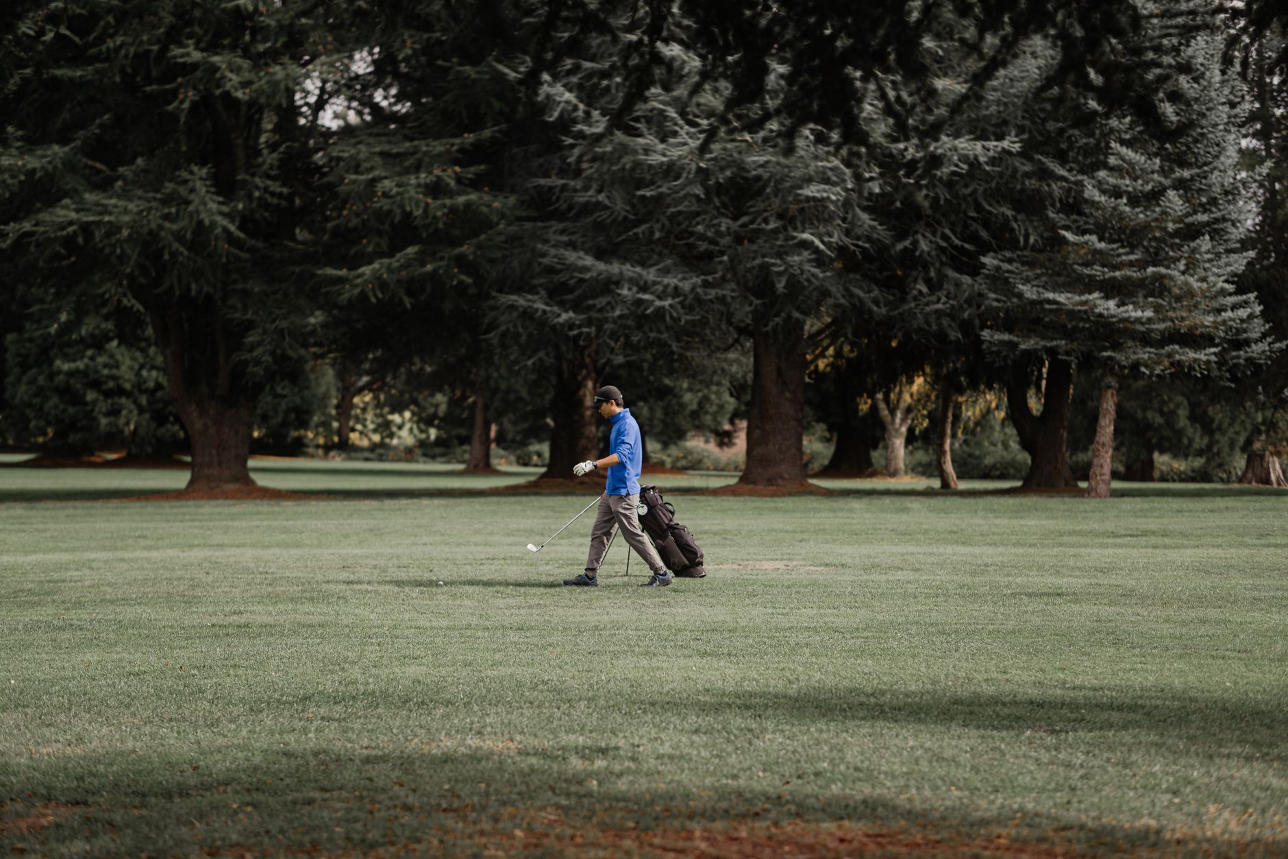 Tree-lined golf fairway in autumn