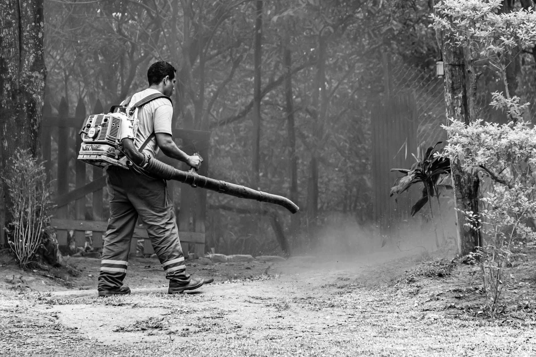 A worker clearing leaves with a blower ahead of turf maintenance