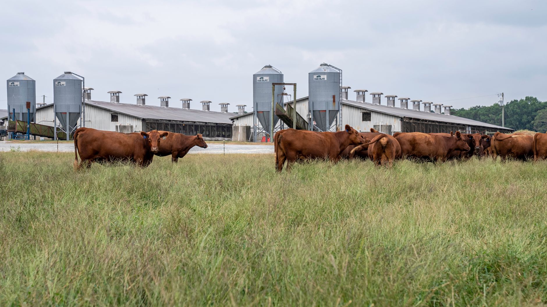 Administrative building at a cattle operation on the plains