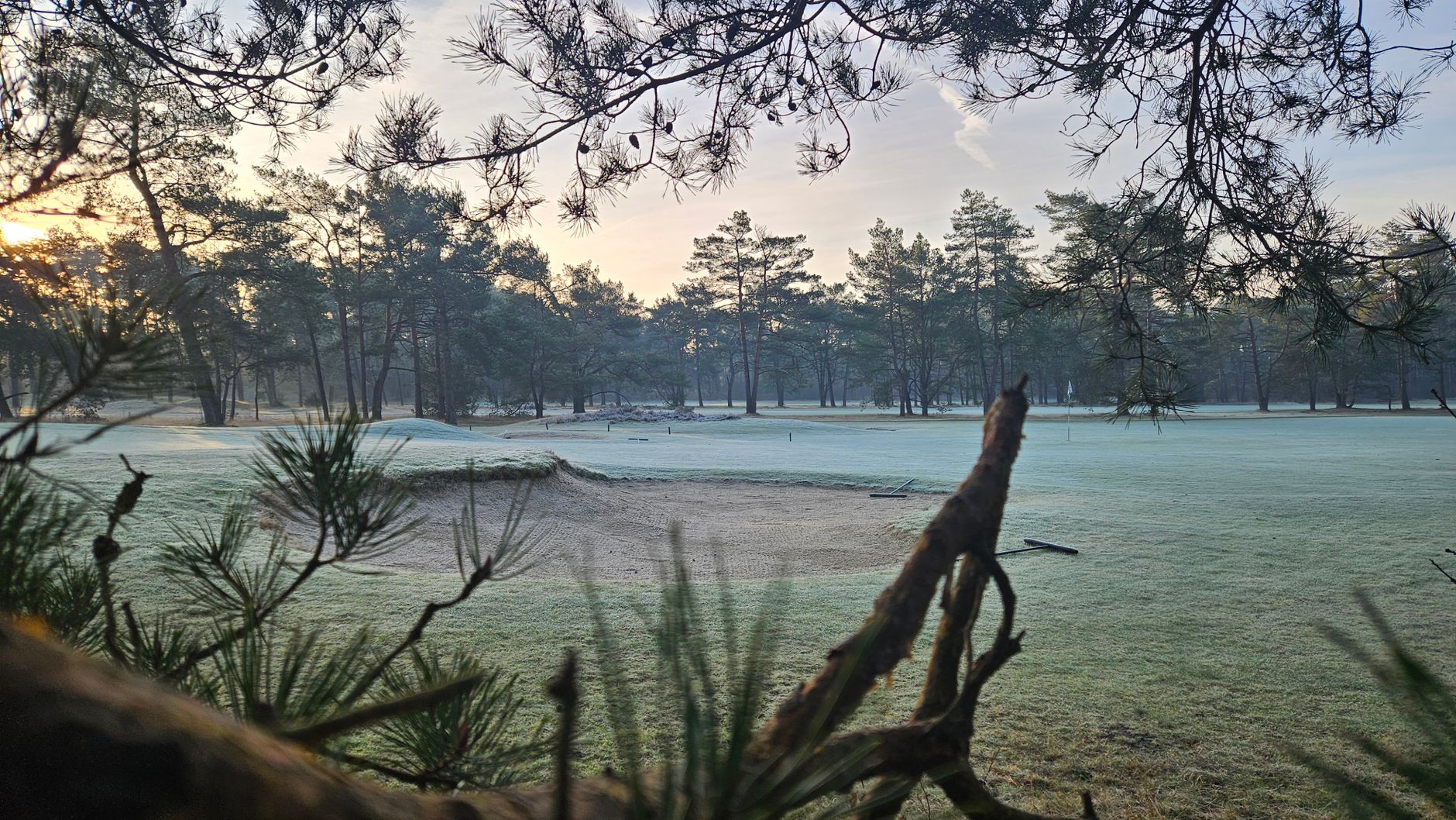 Frost covering fairway turf at dawn on a golf course