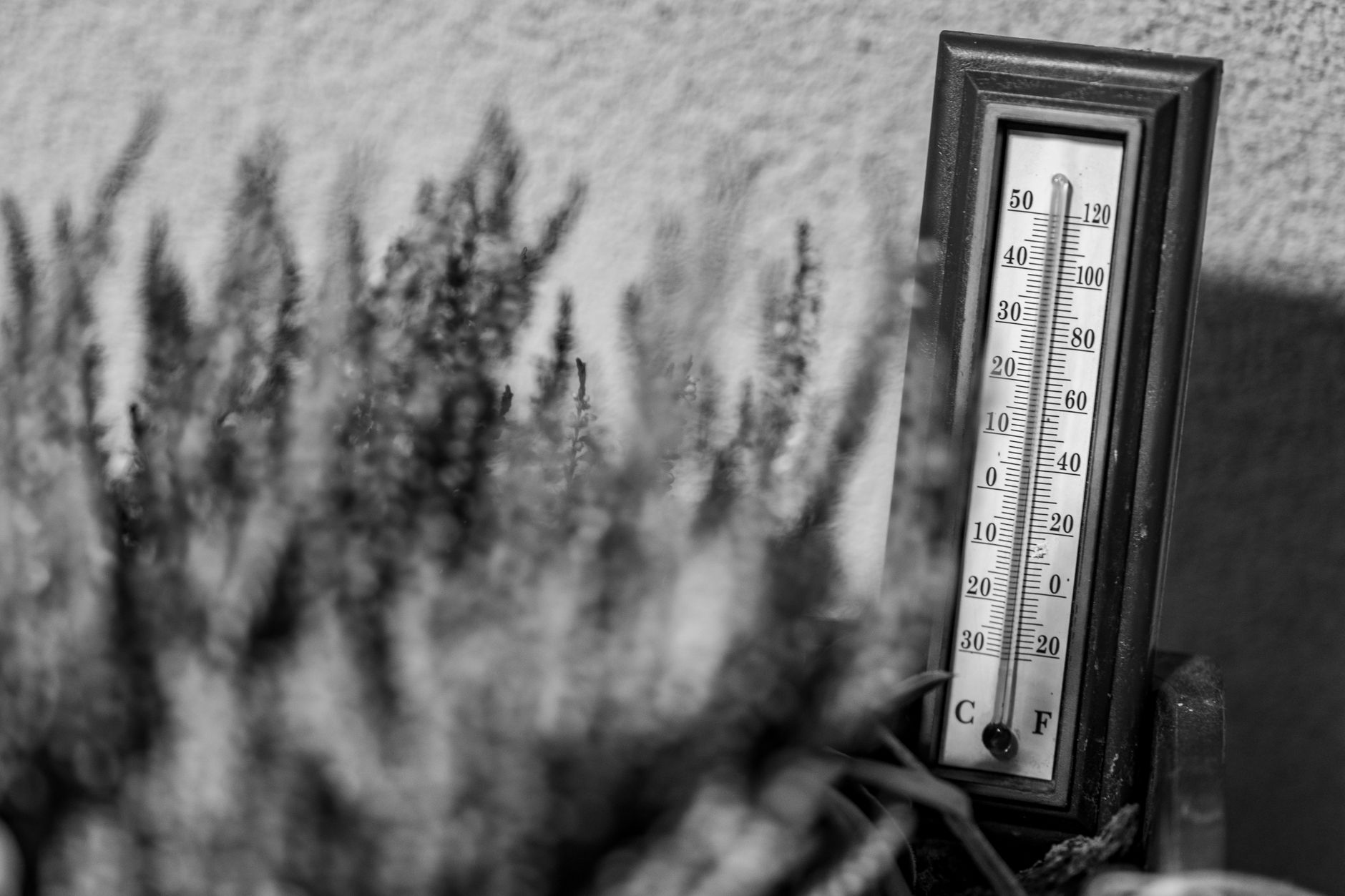 Outdoor thermometer on a summer day