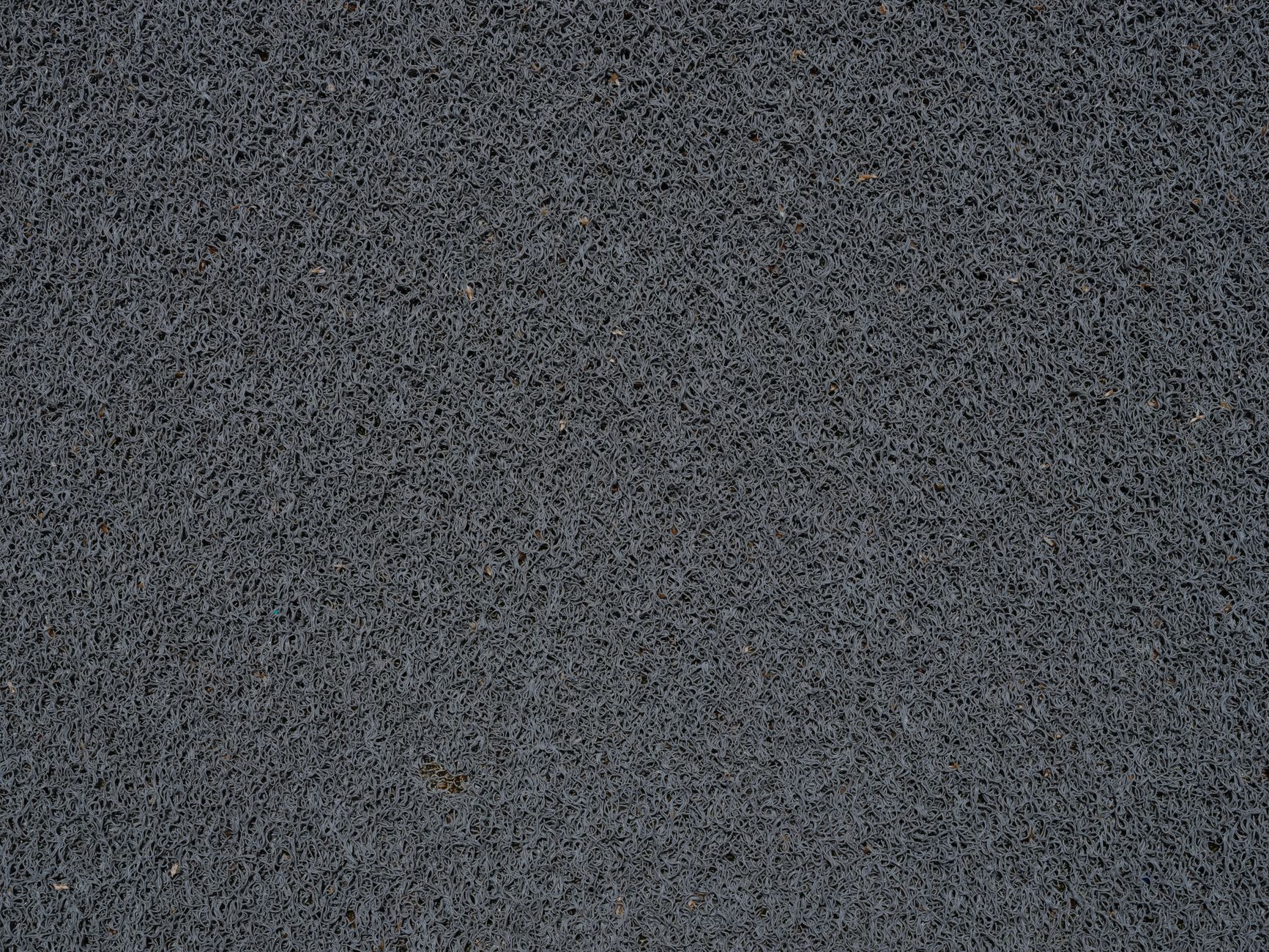 Rain-soaked entry mat where seasonal mud changes both manual and robot cleaning results.
