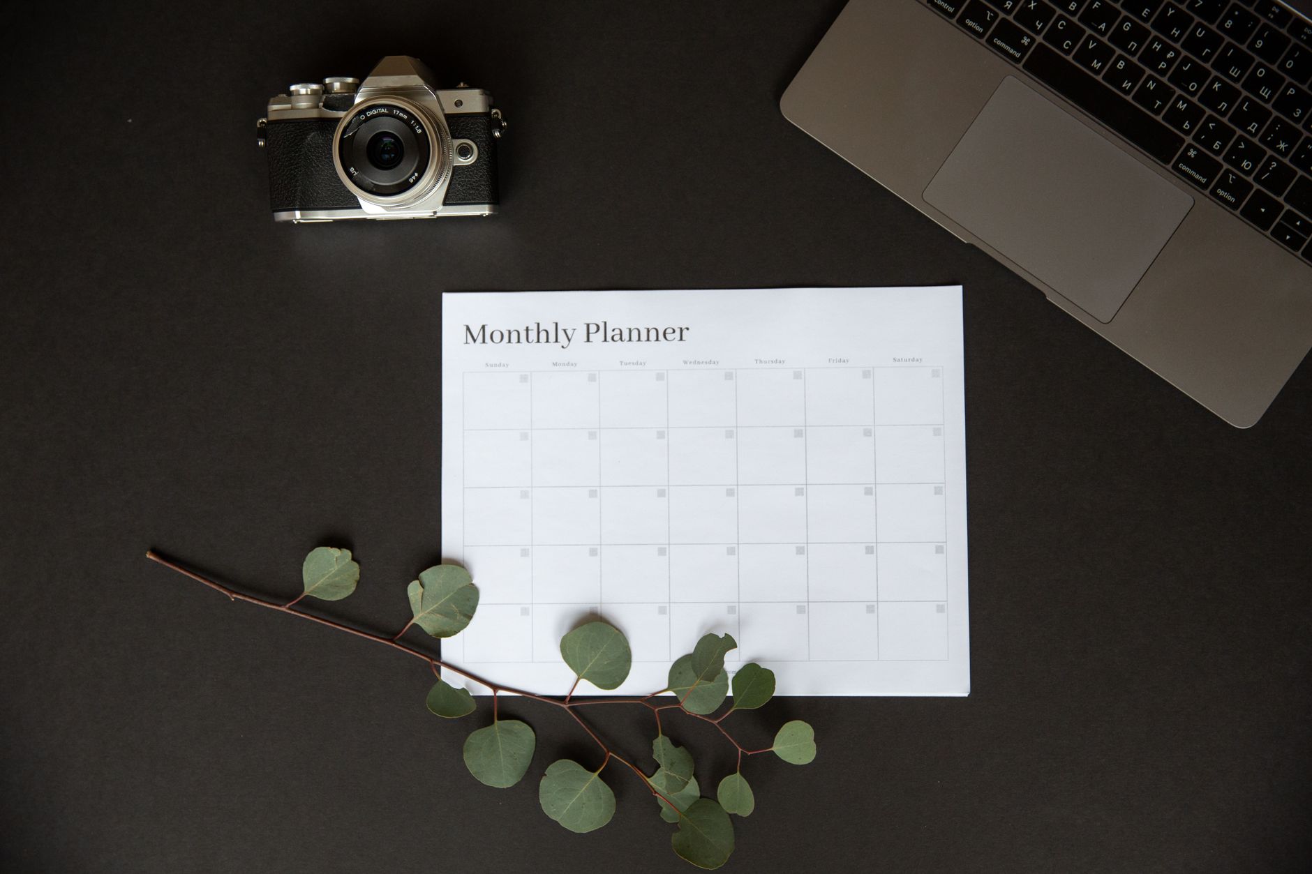 A capital calendar where software renewals sit beside planned battery swap dates.