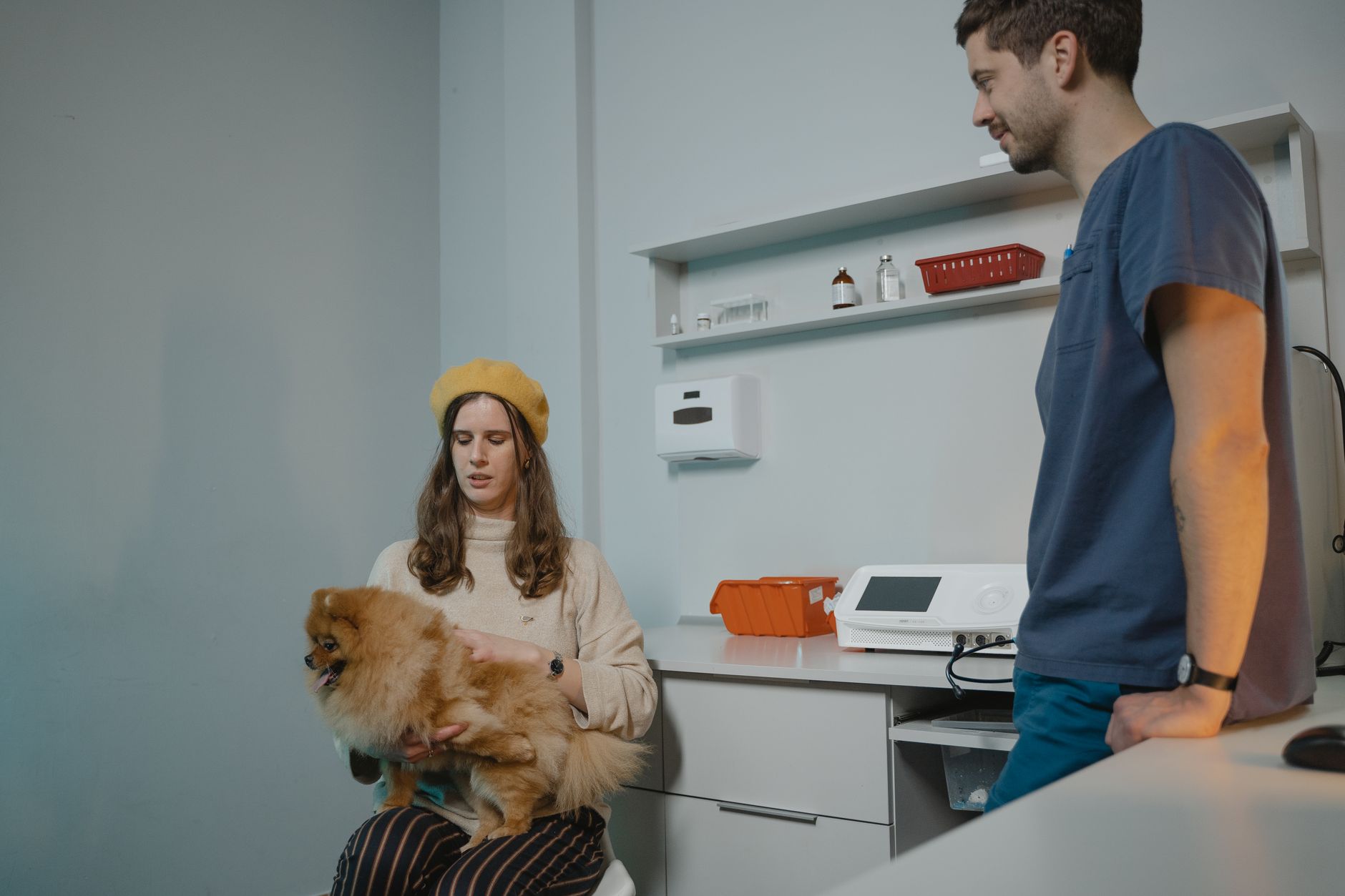 A calm veterinary waiting area with pets and owners reflects the article's point that circulation and noise choices should avoid adding stress.