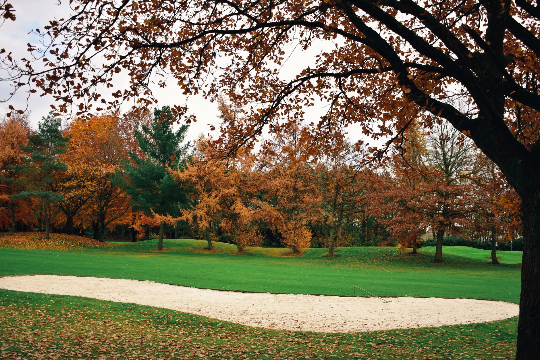 Fairway debris after a storm before maintenance resumes