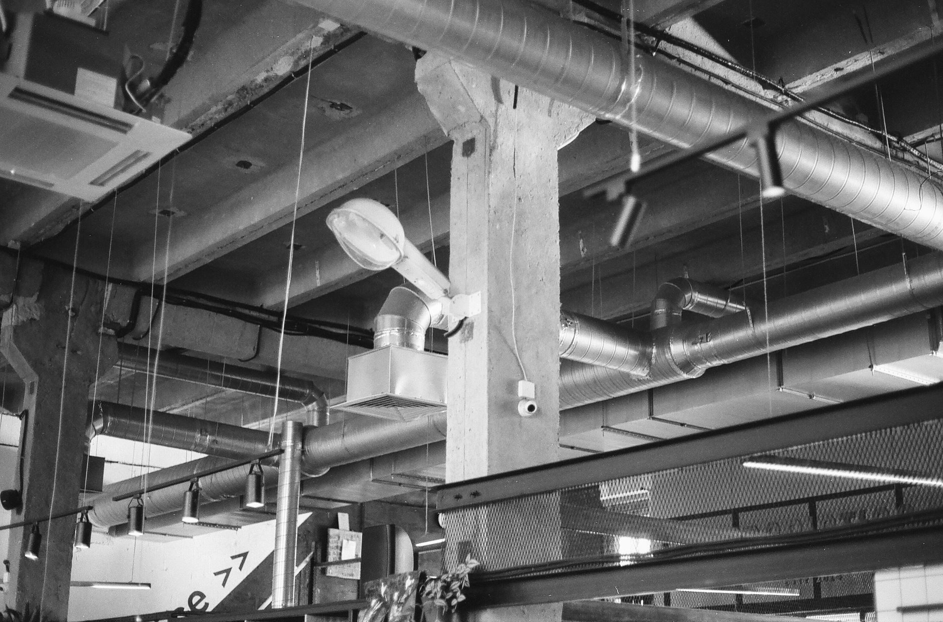 A stained ceiling and overhead piping showing the kind of moisture and leak issues food plants need to catch early.
