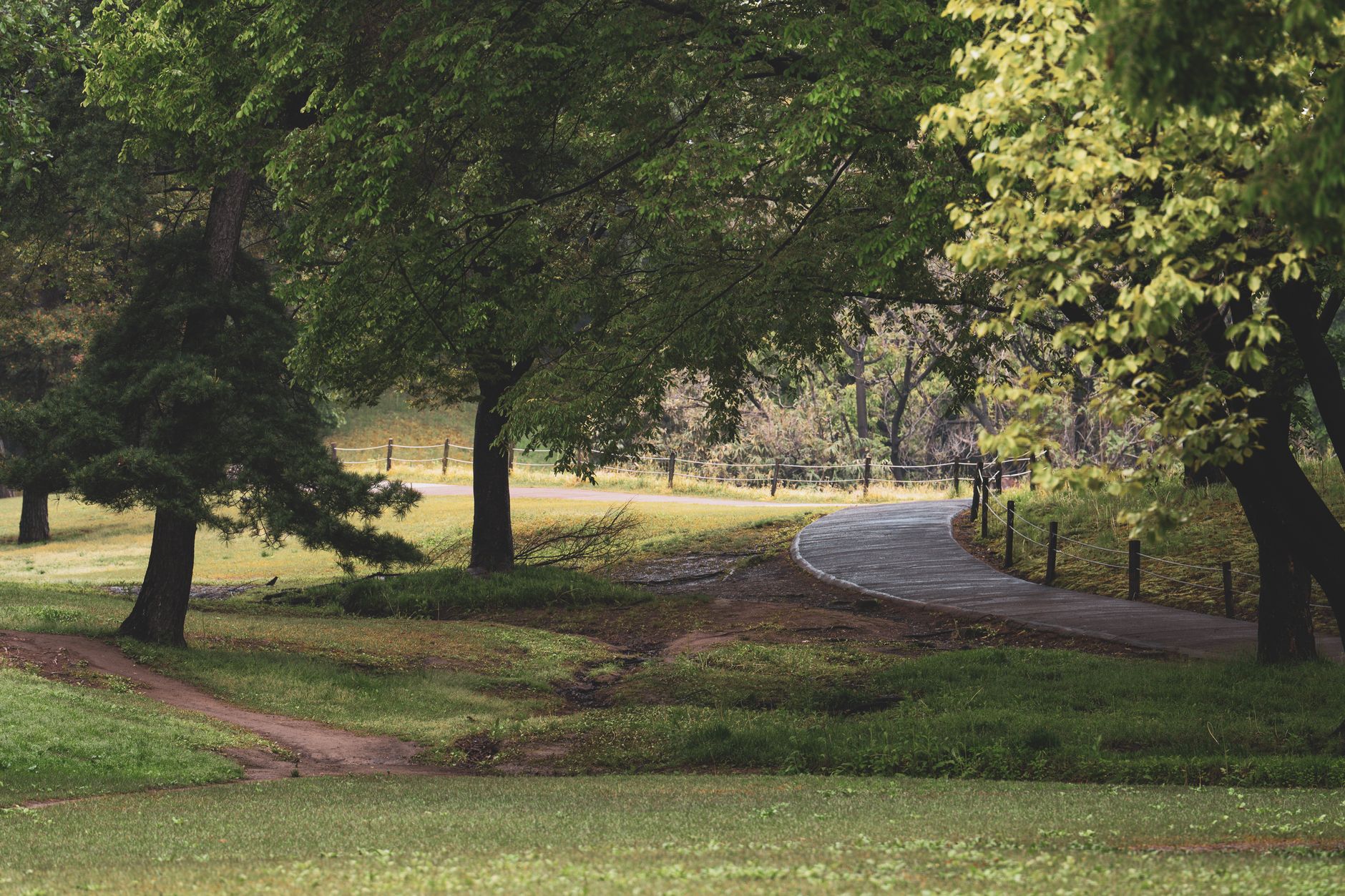A winding pathway in a park at dusk, bordered by benches, lampposts, and manicured planters, illustrating a complex environment to navigate.