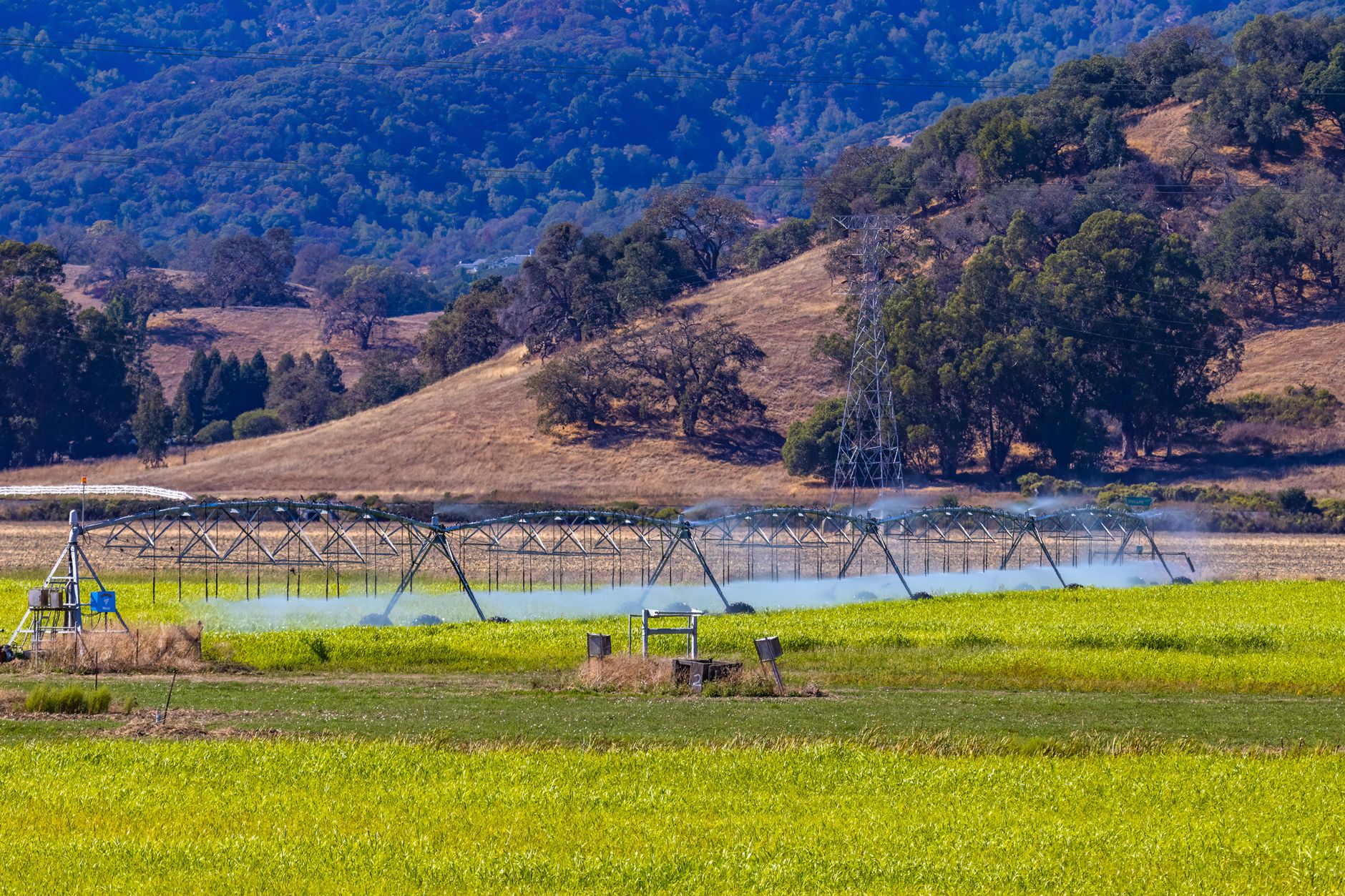 Irrigated crop rows in a wide valley, illustrating the seasonal harvest calendar that drives warehouse traffic.