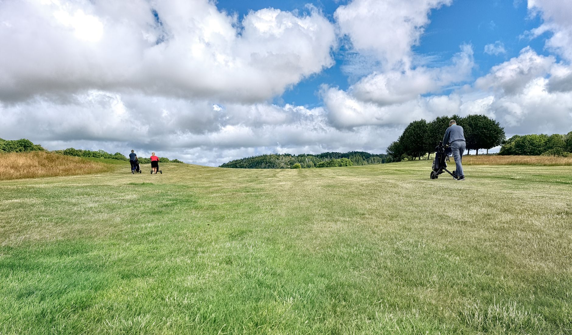 Healthy mature turf on a golf fairway