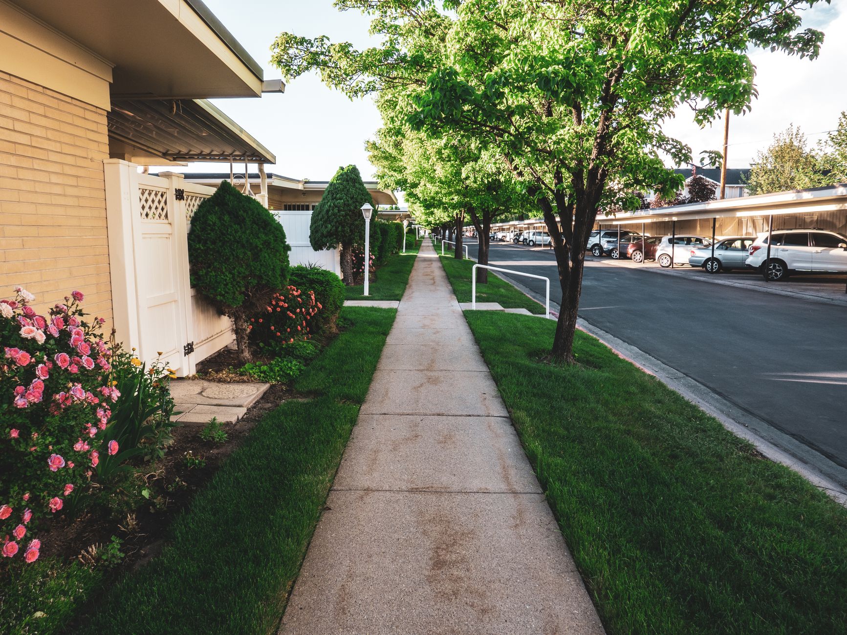 Homes and sidewalks near open land, illustrating why visible community solar draws curiosity visits and vandalism risk.