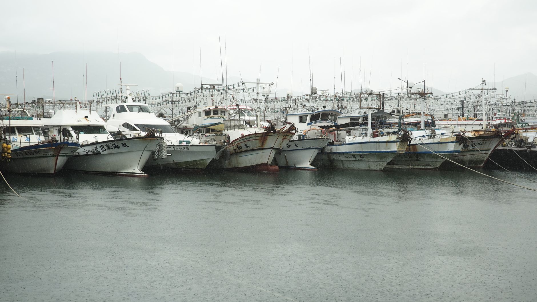 Wet pier planks and gray clouds over a harbor
