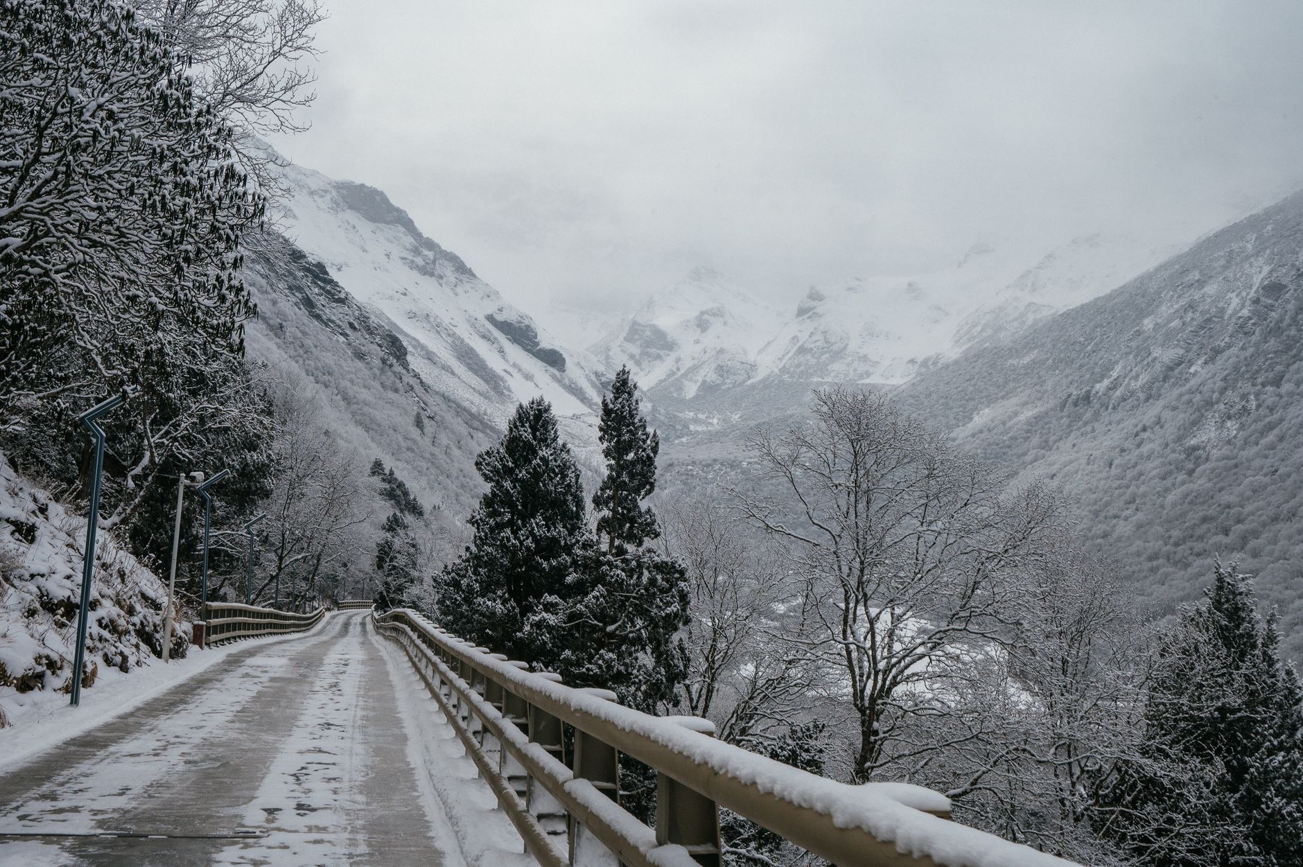 Forest road leading to seasonal cabins on a high-elevation inholding.