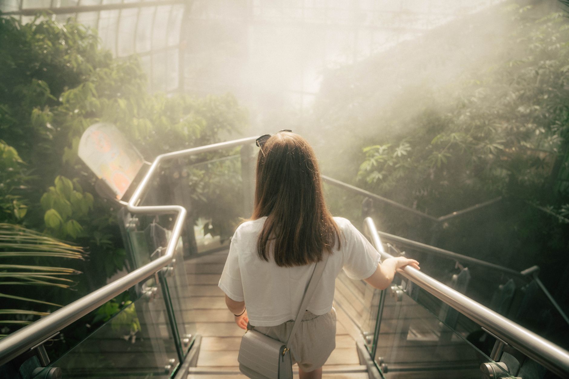 Misting inside a greenhouse with damp walkways and dense foliage, showing the humid conditions that affect traction, visibility, and sanitation.