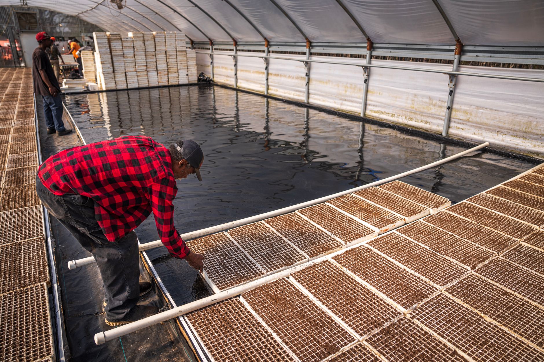 Greenhouse aisle during plant watering, showing the wet-floor conditions and exceptions that still require staff judgment.