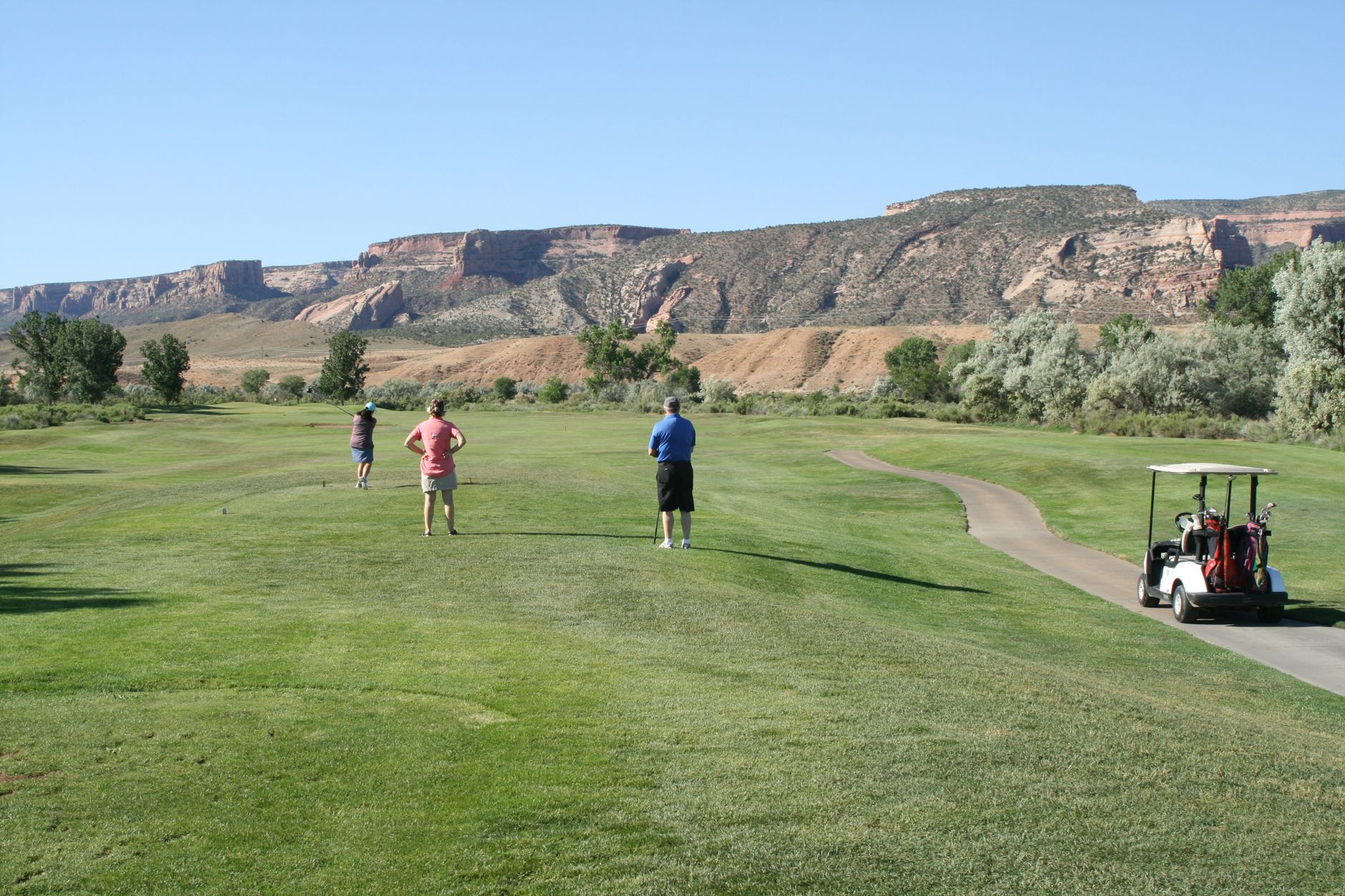 Scramble teammates clustered on a reachable fairway while choosing the best shot.
