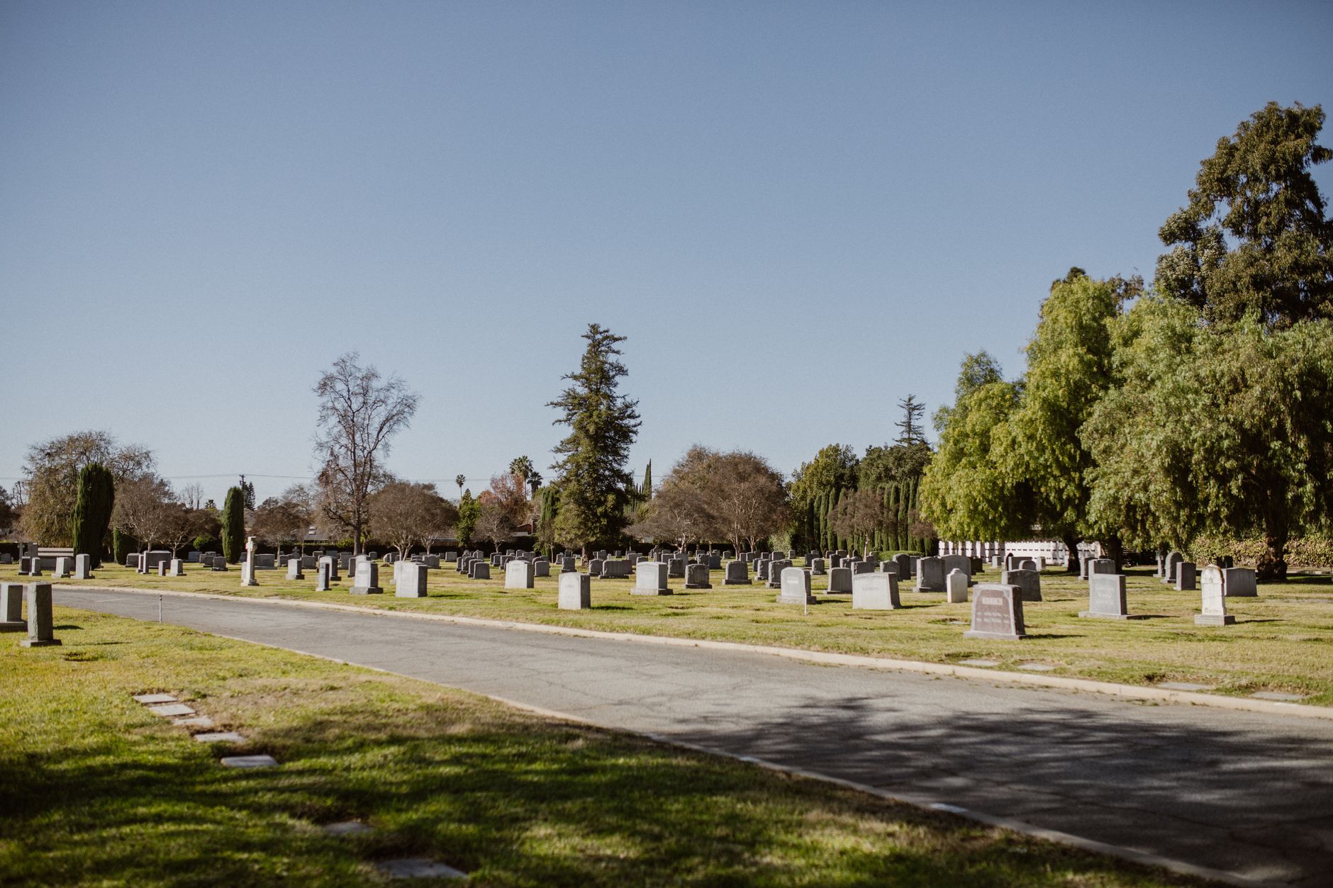 A long service road cutting through cemetery grounds, illustrating the kind of exterior route that benefits from repeatable nighttime patrols.