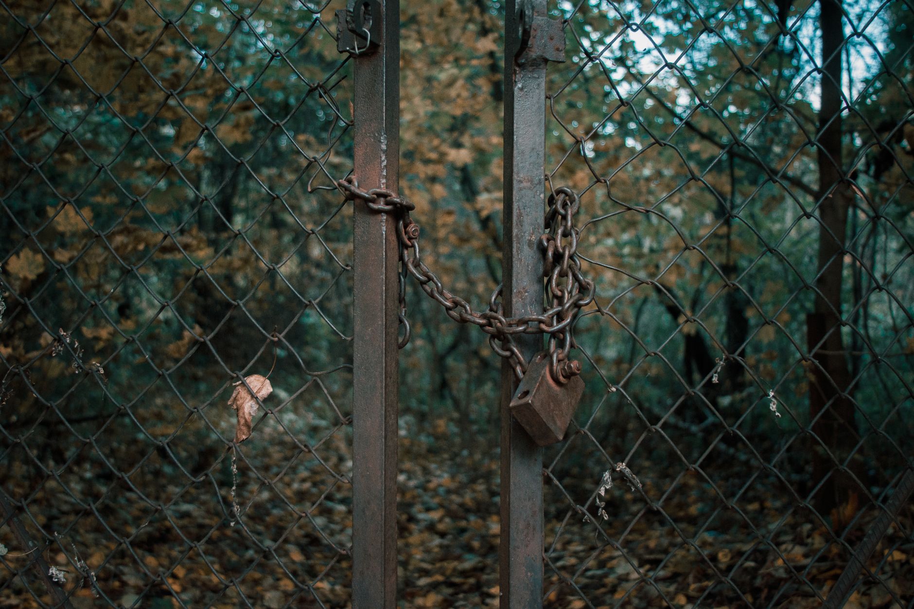Closed chain-link gate along an industrial perimeter, the kind of entry point patrol routes must monitor.