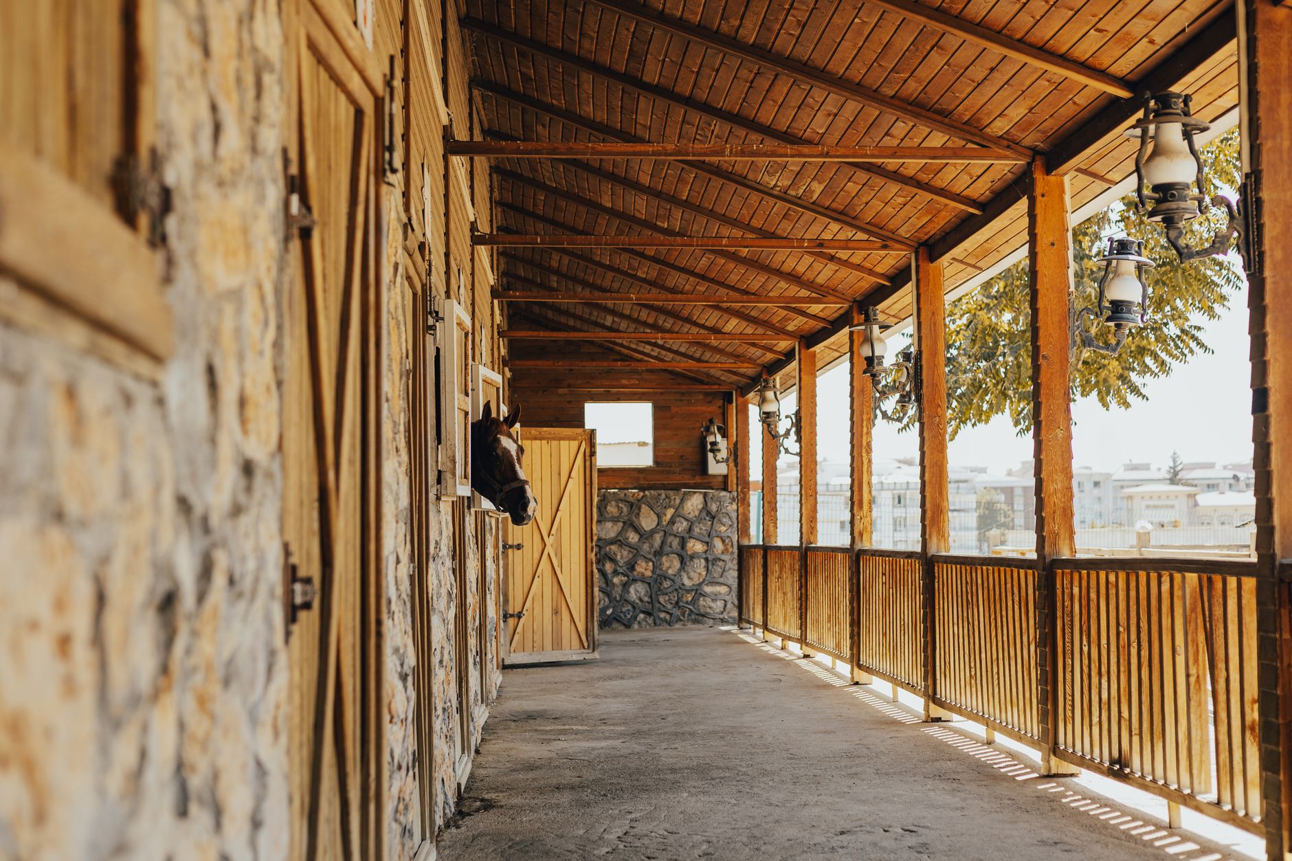 A narrow barn corridor with stalls, illustrating pinch points and animal proximity on patrol routes.