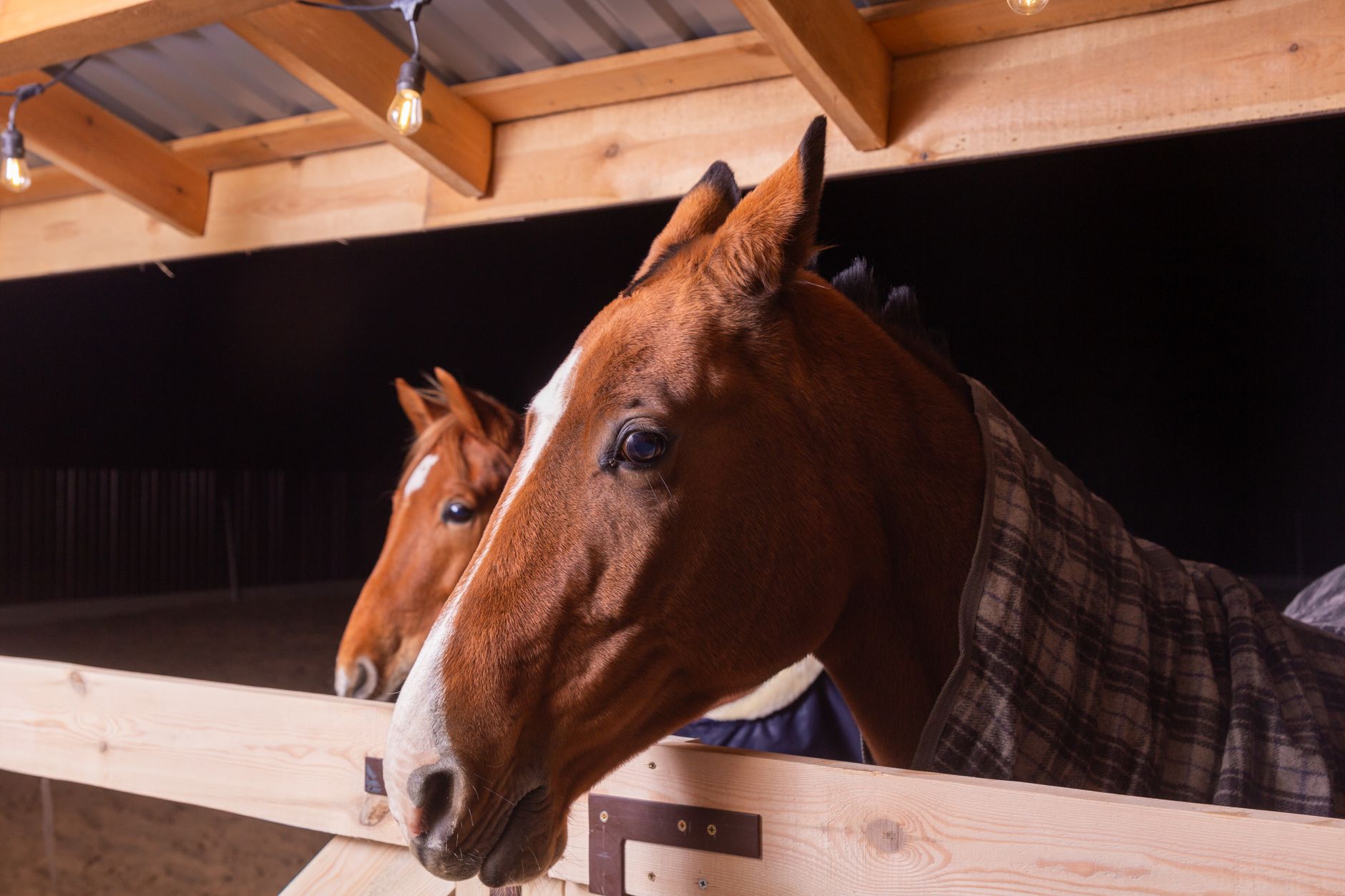 A dimly lit stable aisle after hours, the kind of backside environment racetrack patrol routes must respect.