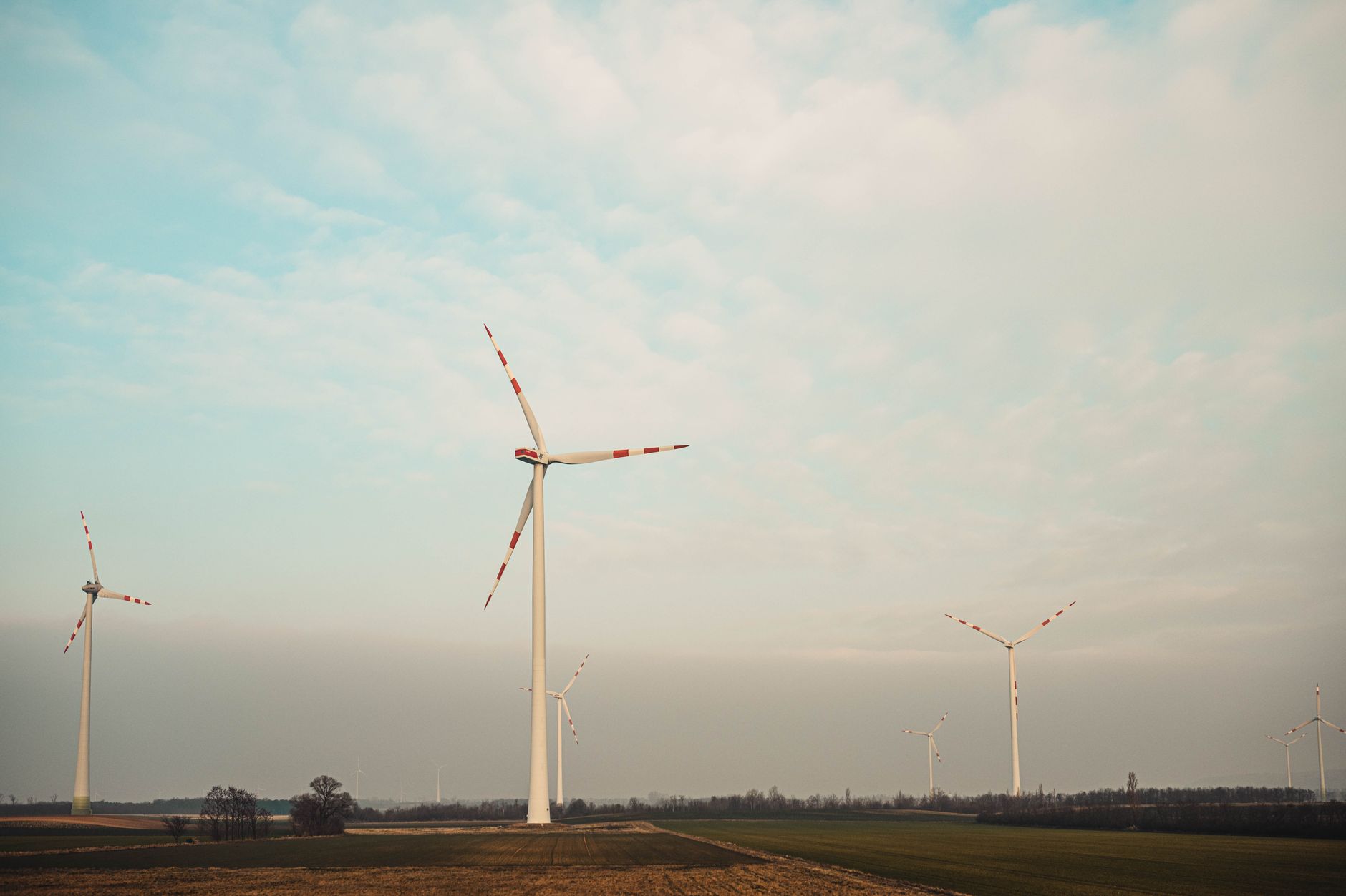 Wind turbines on a ridgeline above a remote maintenance access road.
