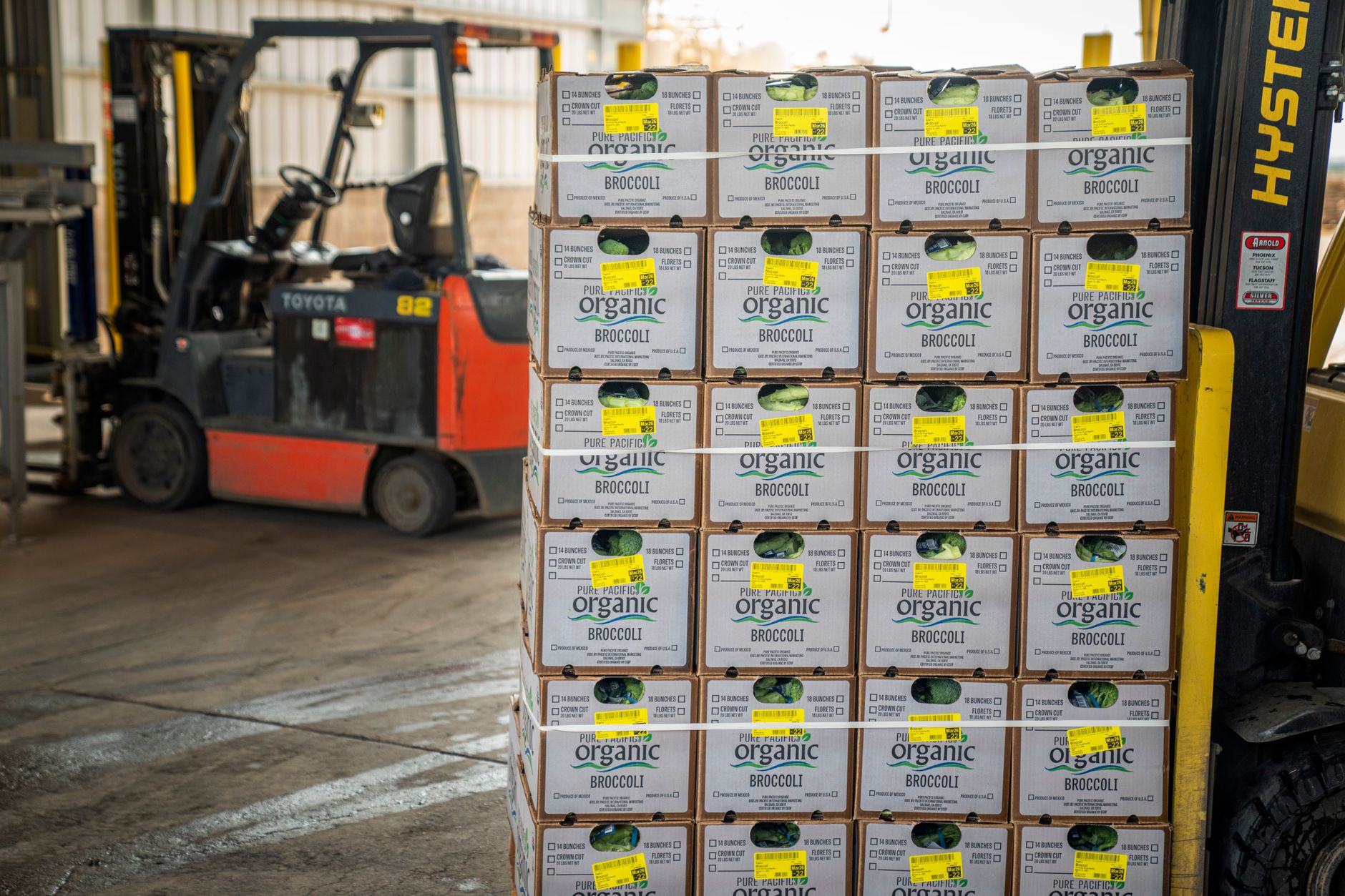 Workers move fresh produce through a busy wholesale loading dock before dawn.