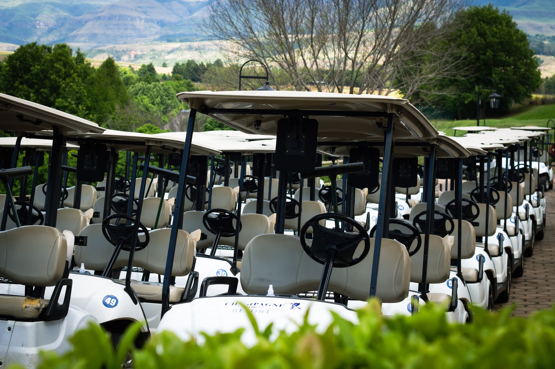 Carts queued on fairways when every hole starts at once.