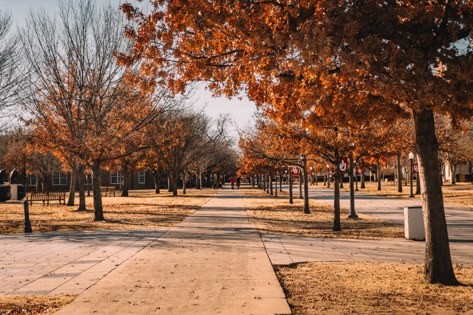 A paved walkway curving through a green university campus, an early adoption site for delivery robots.