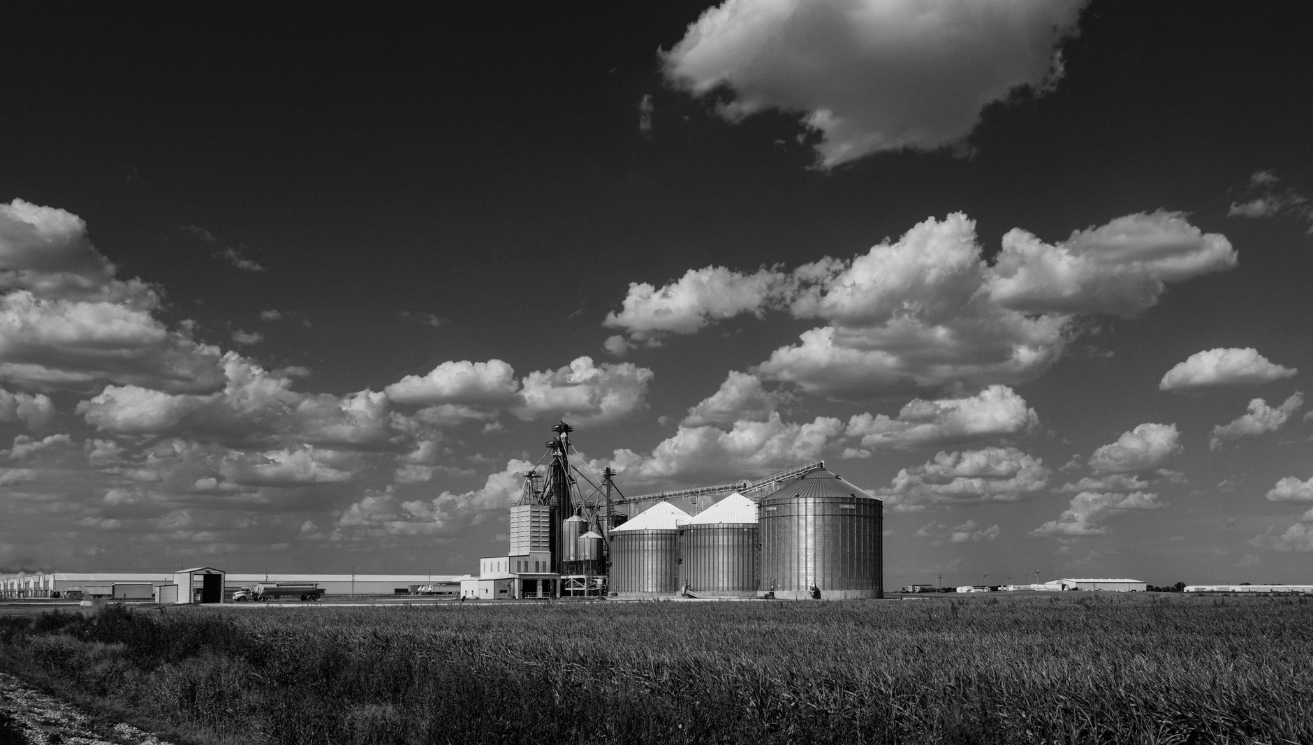 Commercial grain silos and catwalks at a storage facility, representing the assets where inspection cadence affects uptime and safety.