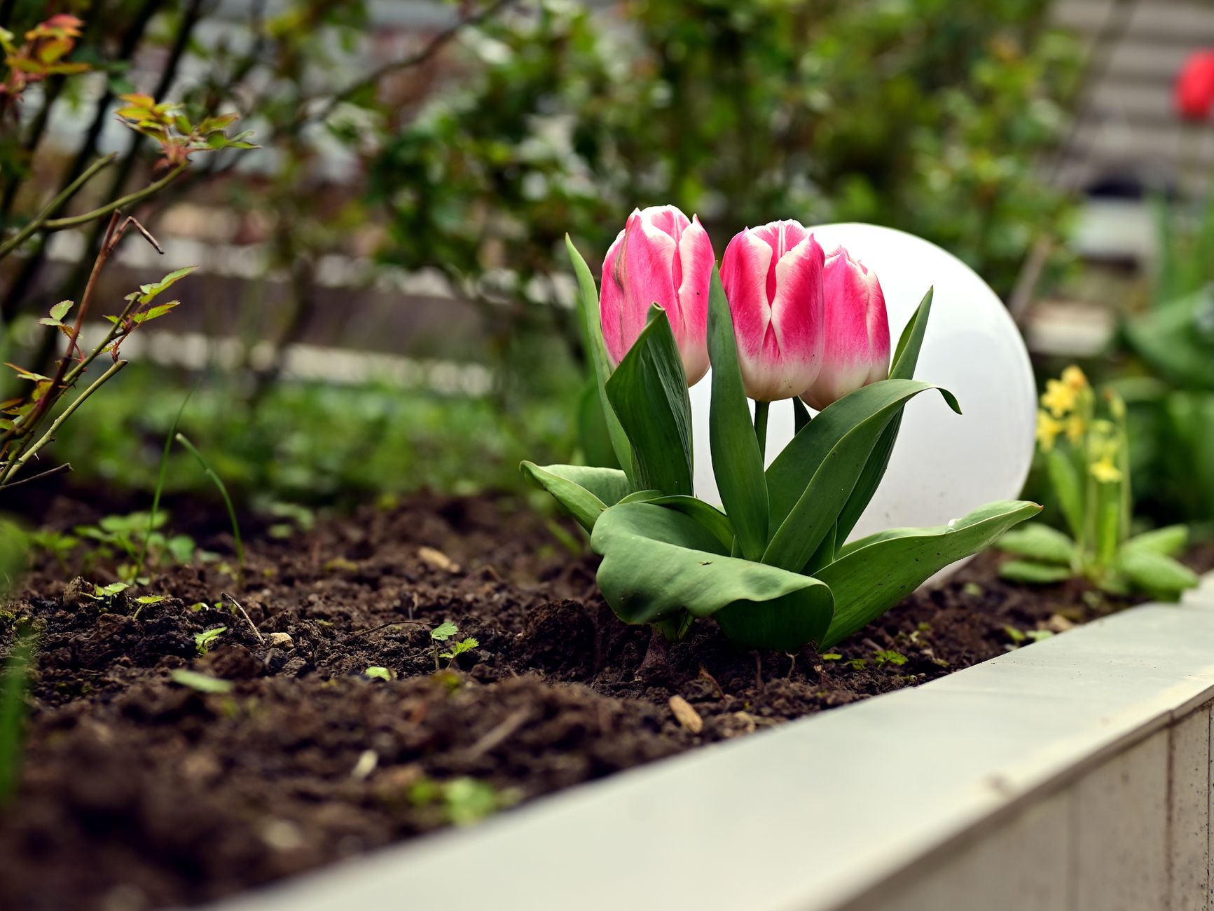 Flower beds and edging work that still requires manual landscaping after open turf is automated.