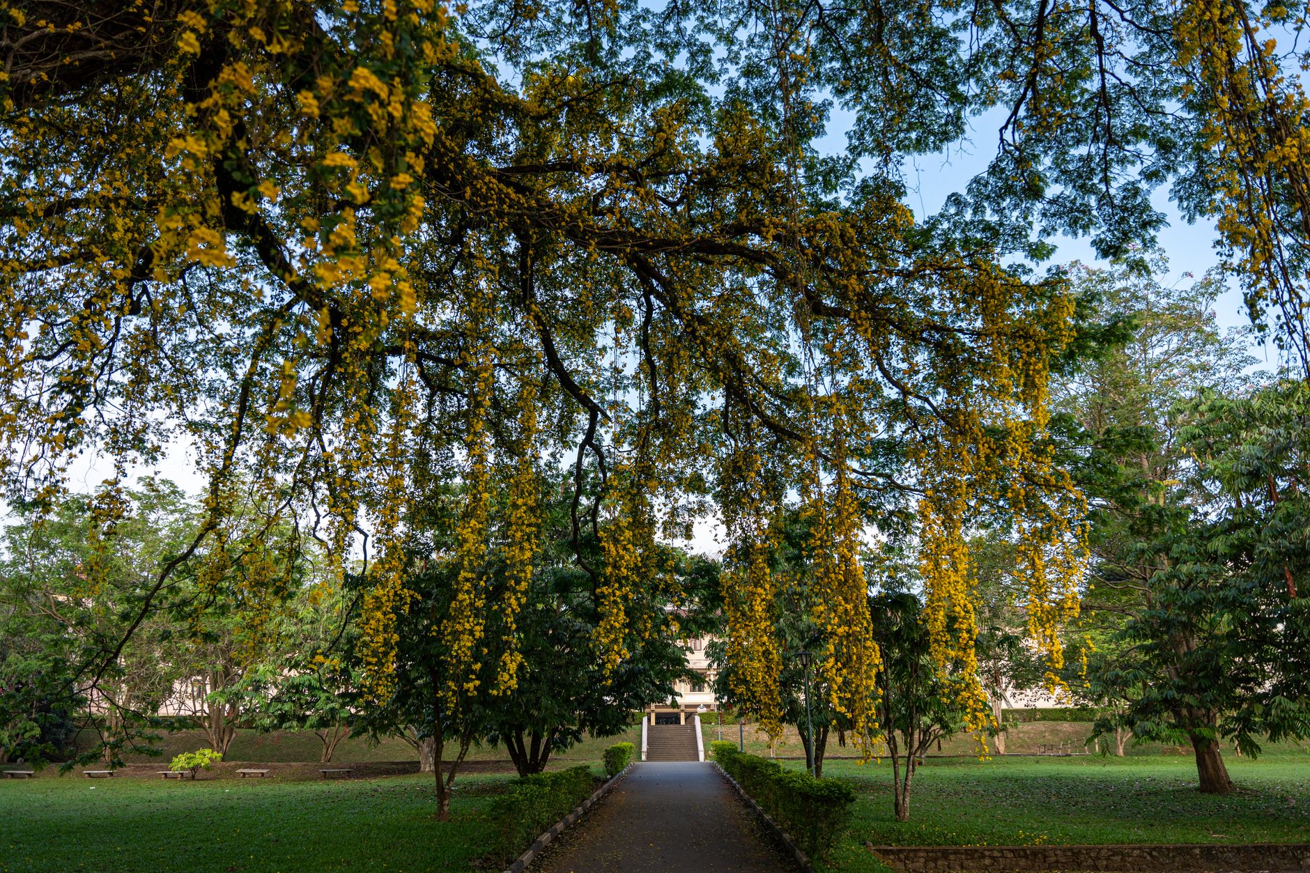 A pedestrian path between healthcare buildings, representing the mapped exterior segments that can turn an indoor workflow into a regulated route.