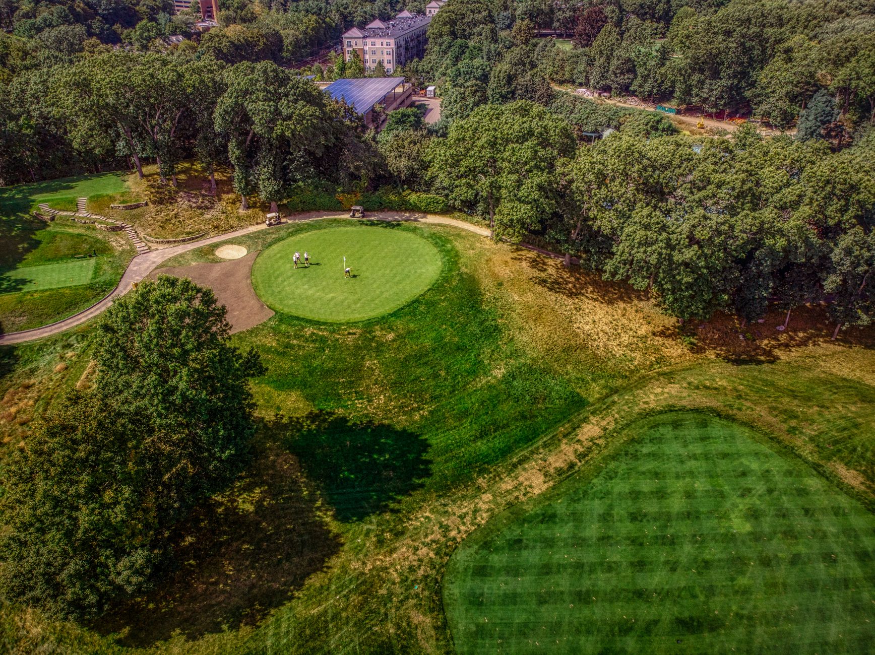 Aerial view of fairways and rough separated by tree lines and cart paths.